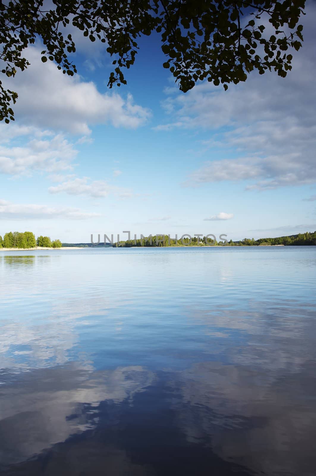 Lake landscape