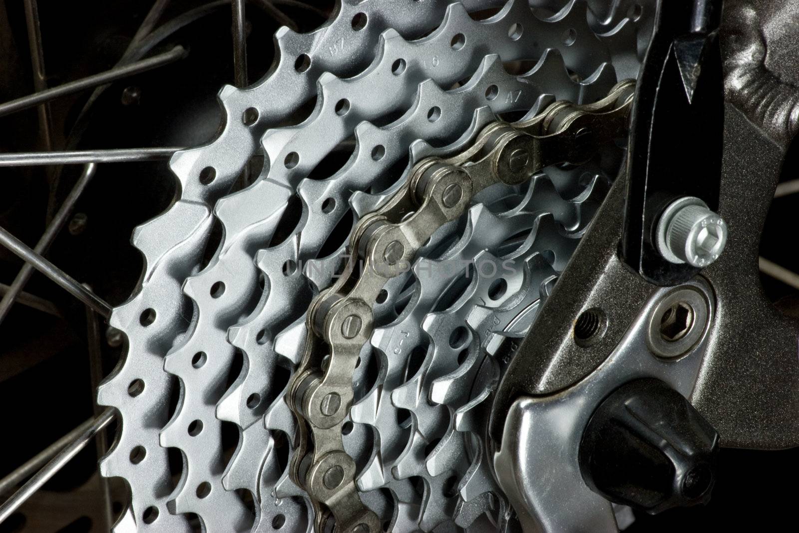 Rear MTB cassette with chain by naumoid