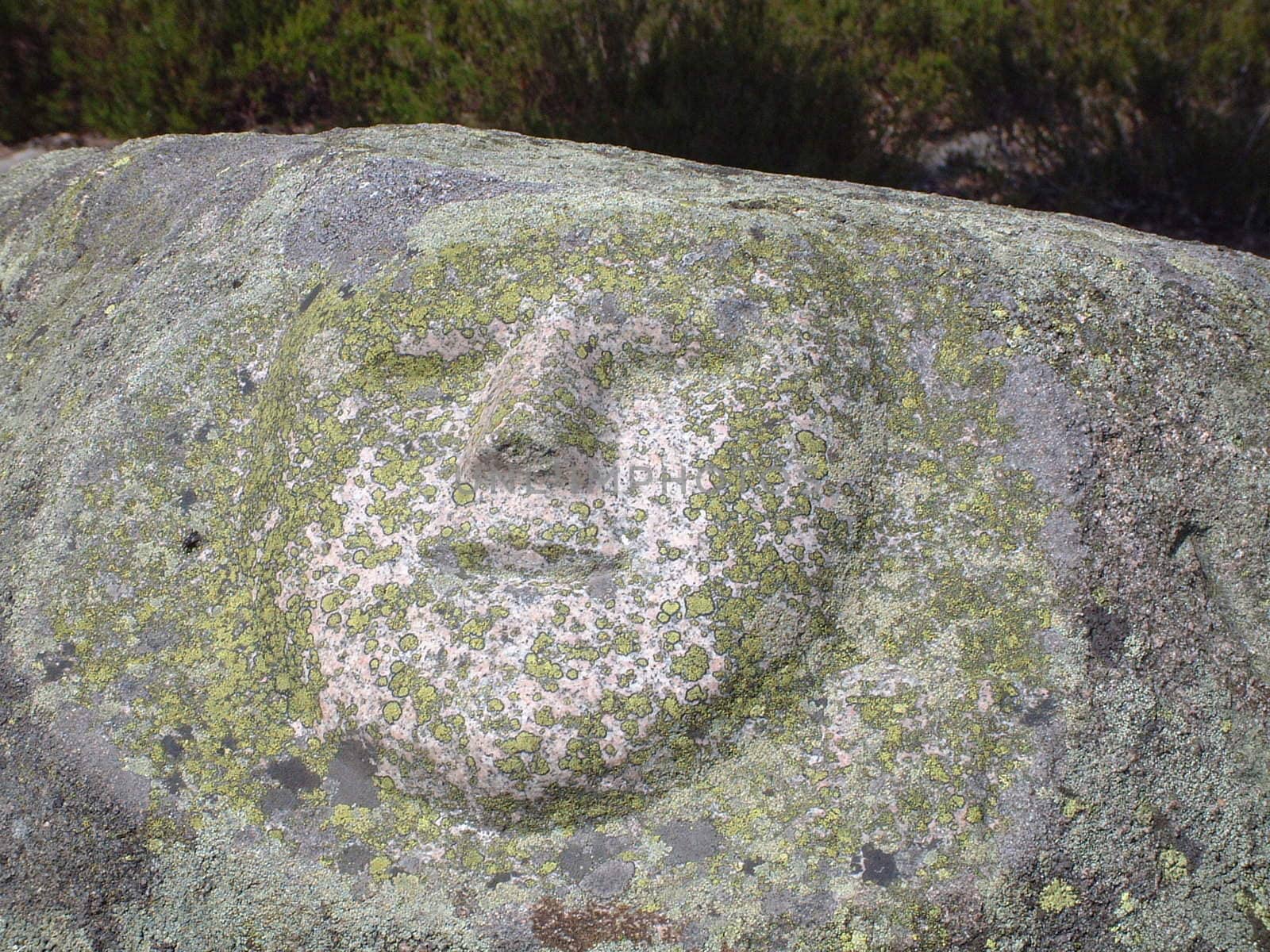 the stone face