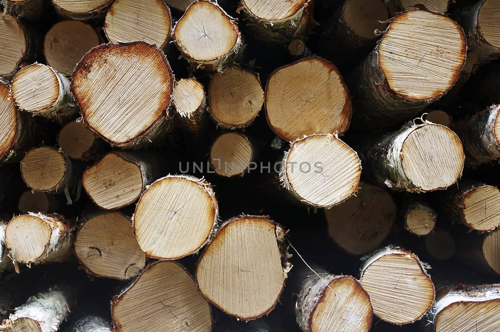 Log pile texture