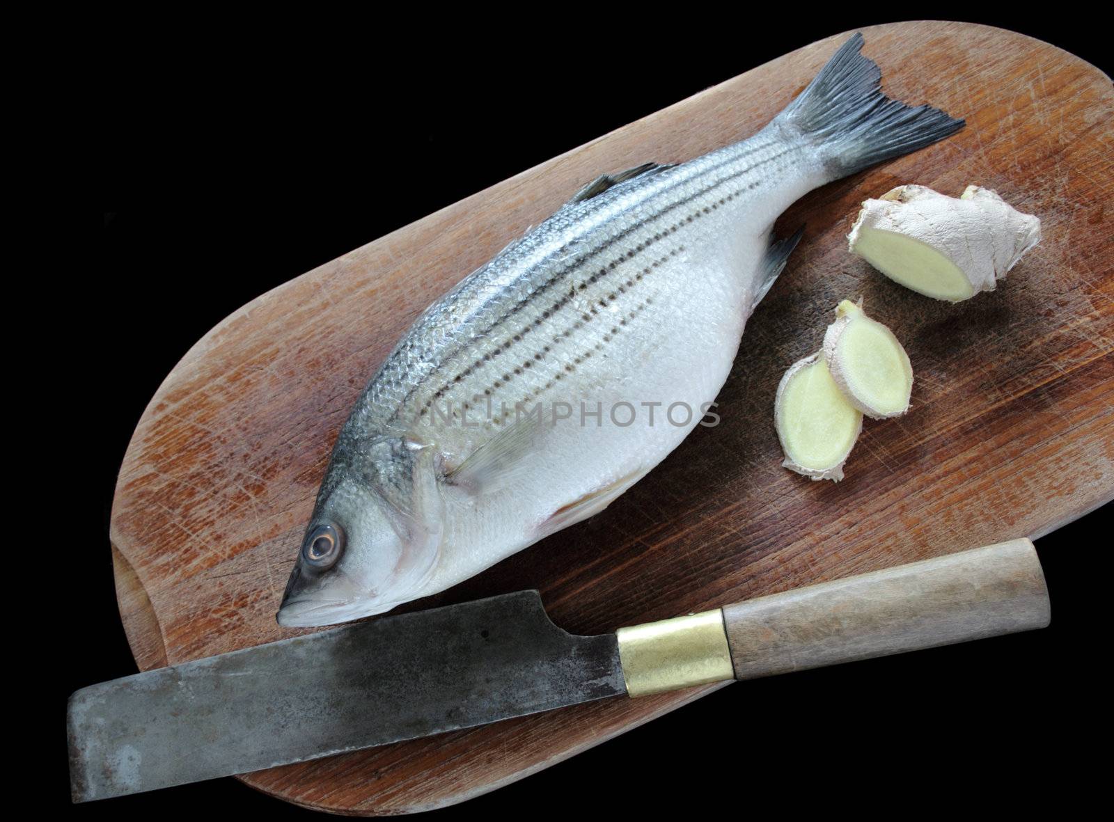 a fresh striped bass and ginger, two ingredients for classic Chinese steamed fish on a cutting board with a knife
