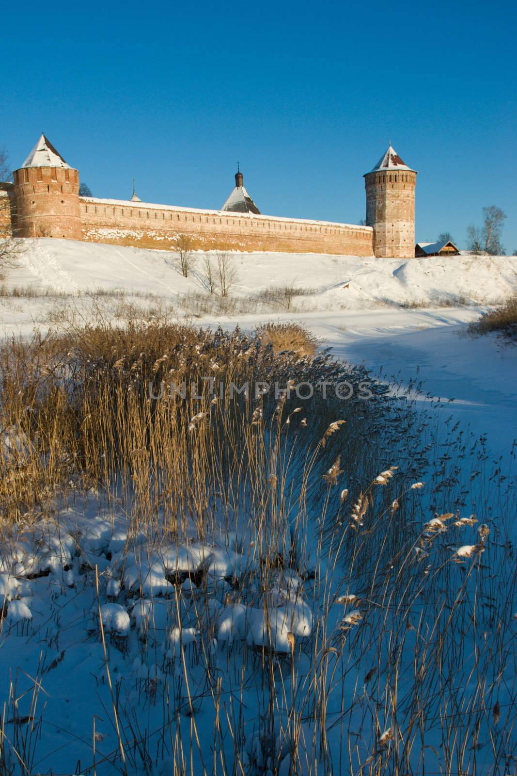 View at Suzdal friary by naumoid