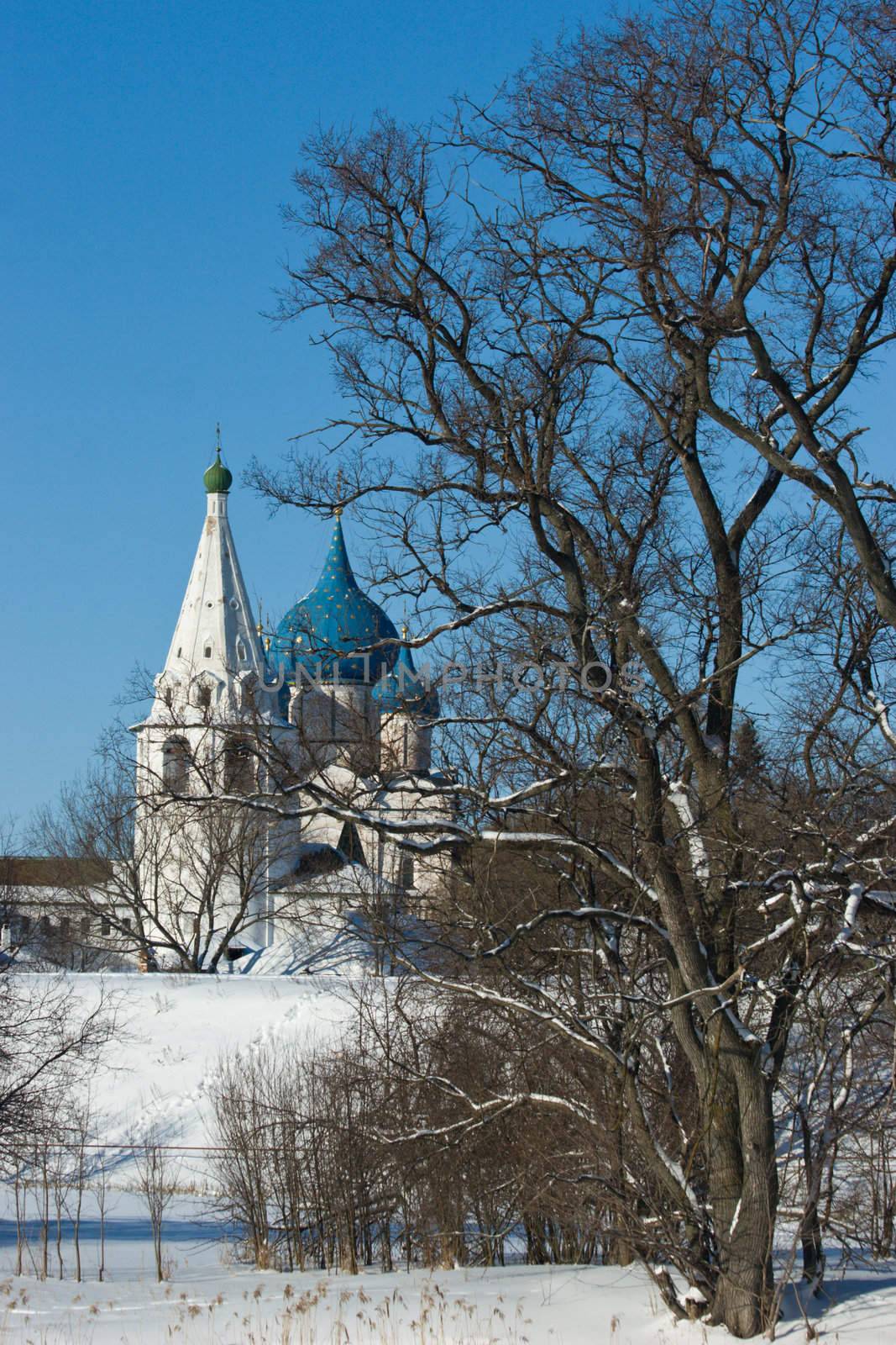 Winter view at Syzdal cathedral, Russia