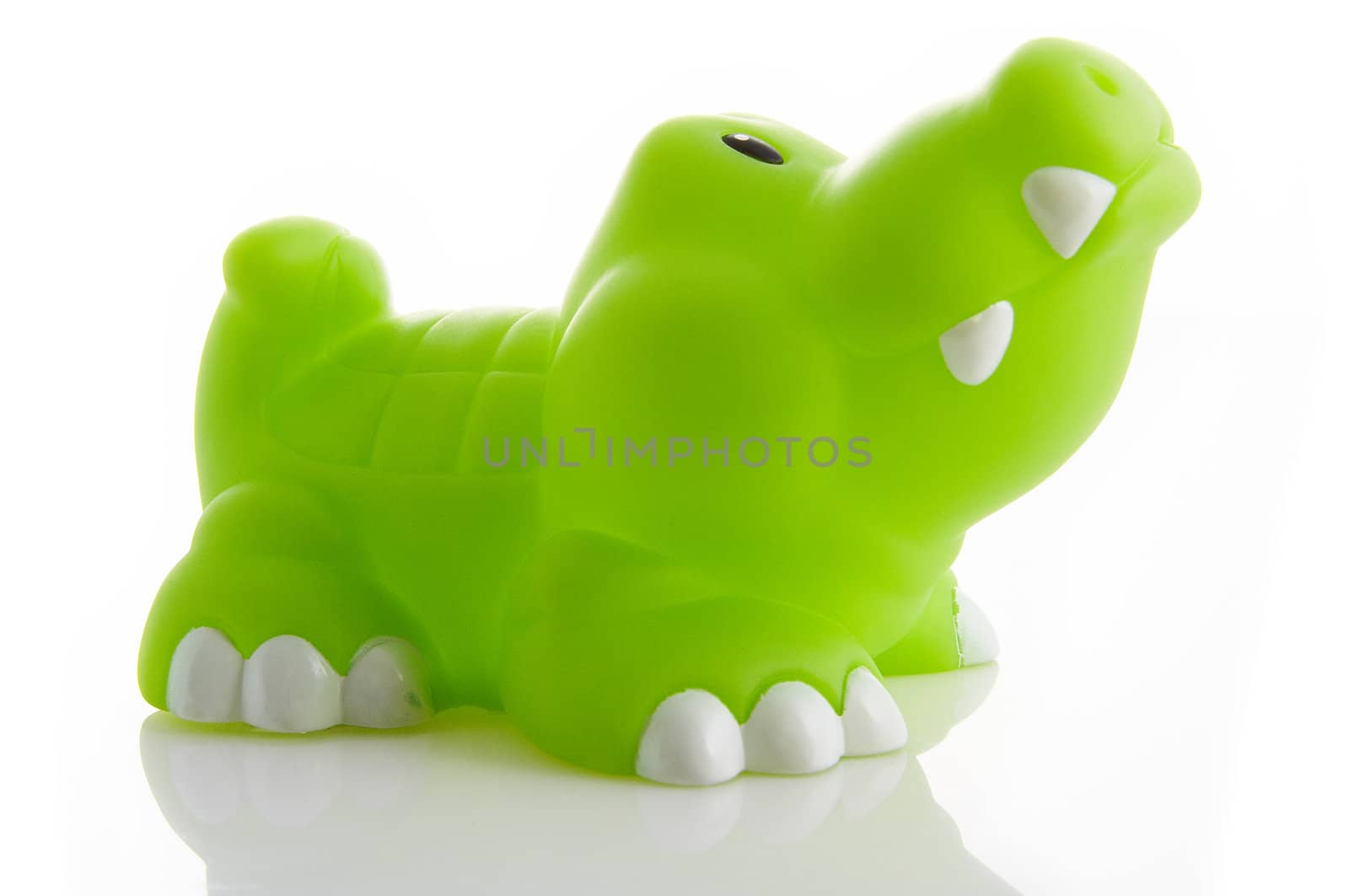 Toy alligator by mjp