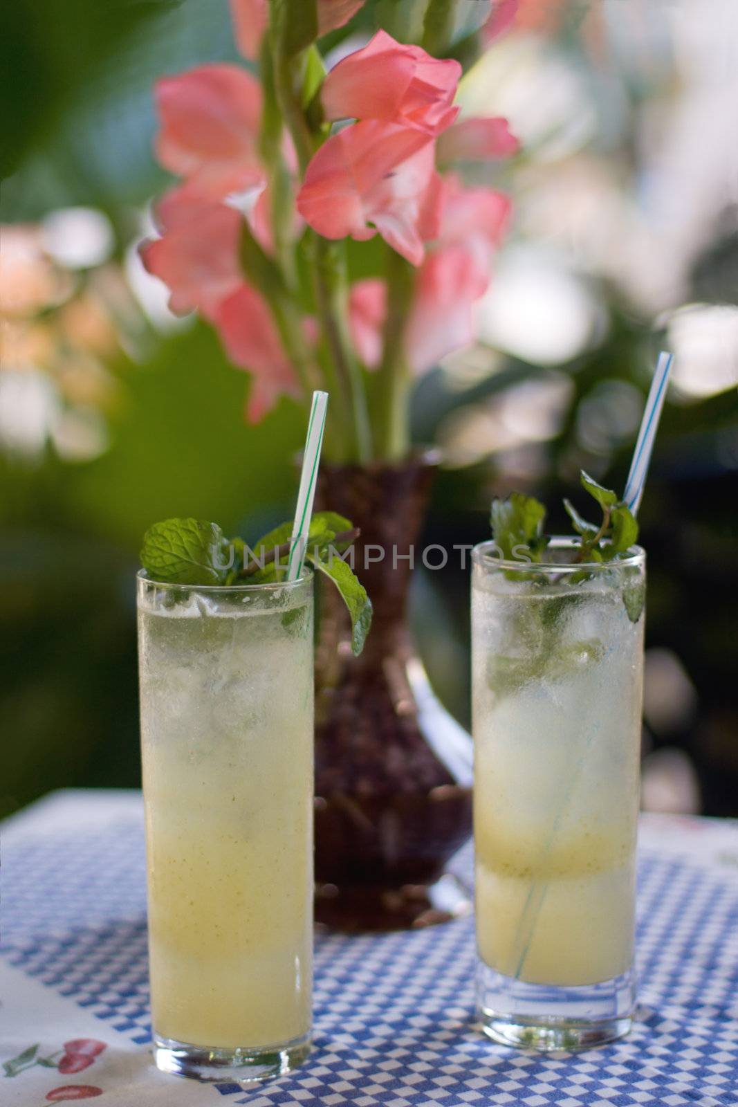 Composition of two glasses of mojito cocktail and pink flowers on colored background