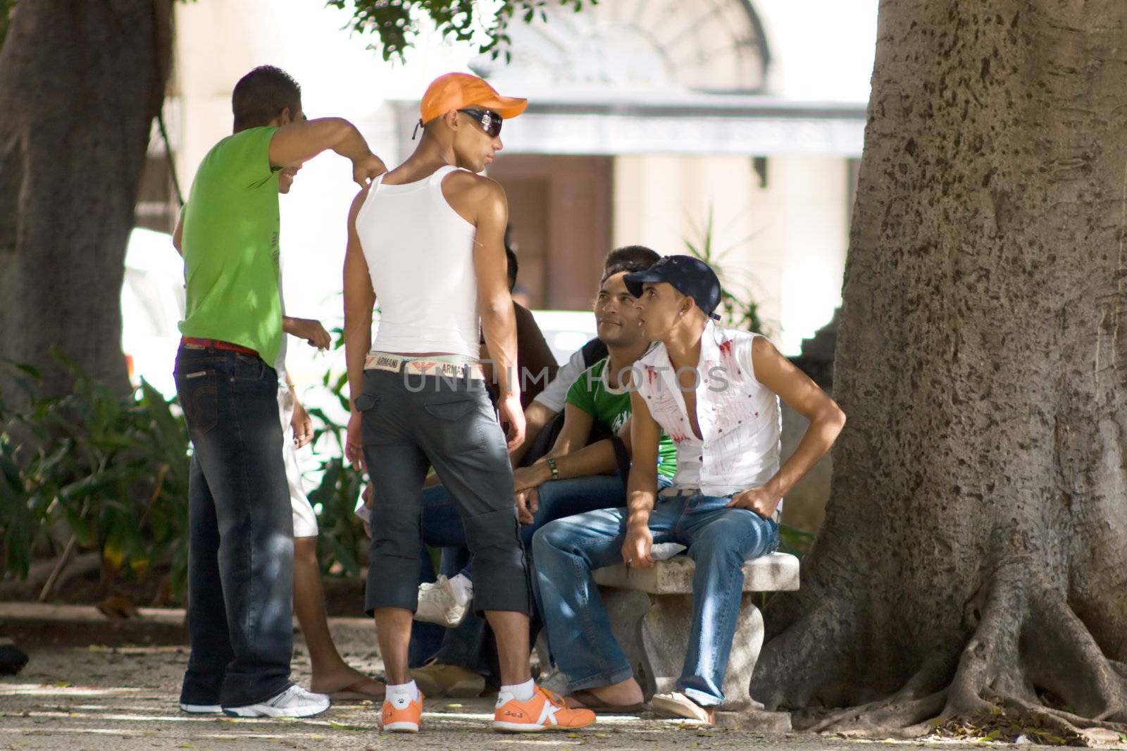 Group of teenagers party in a park. January 2008, Havana, Cuba.