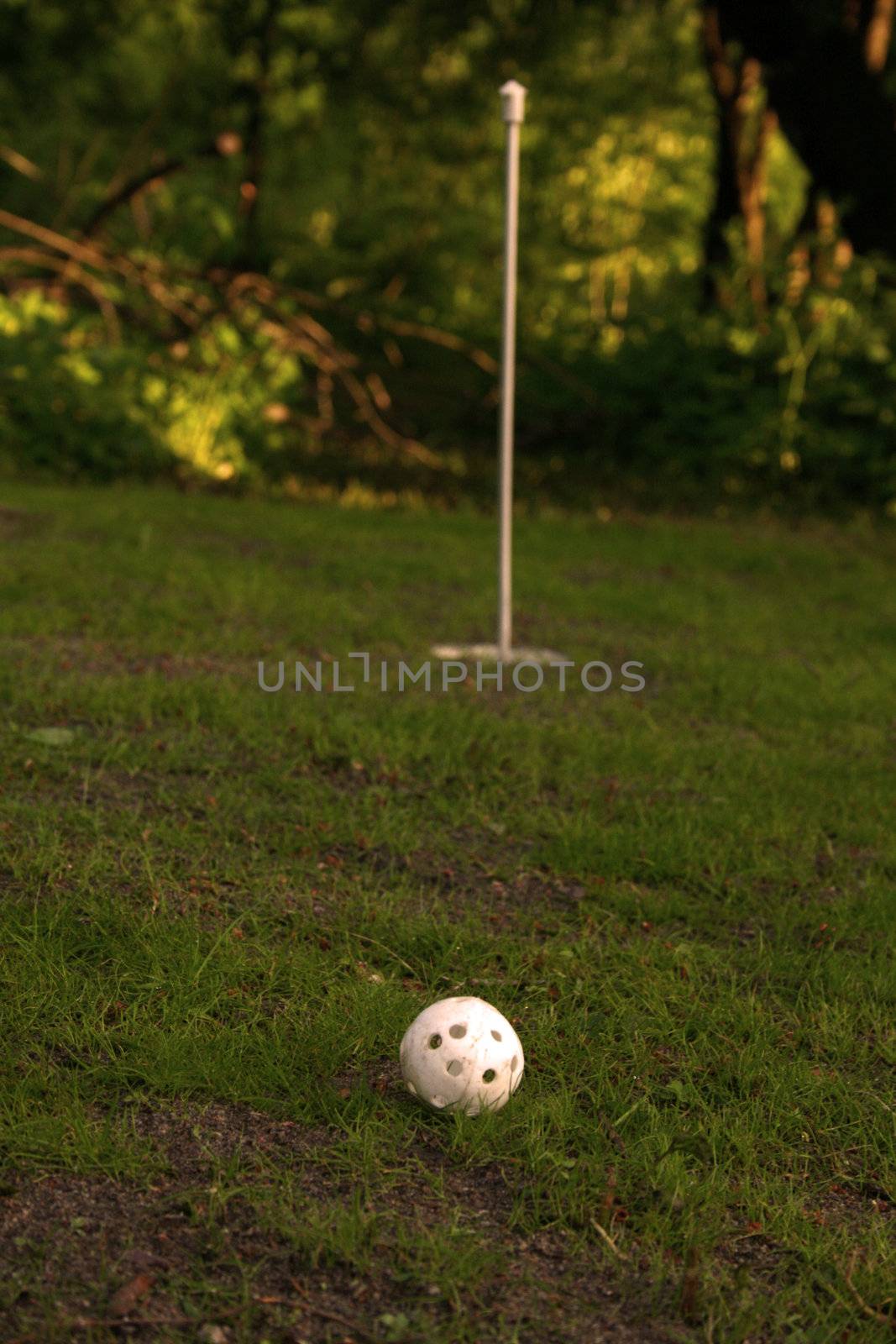 a trainee`s golf ball aiming for the hole