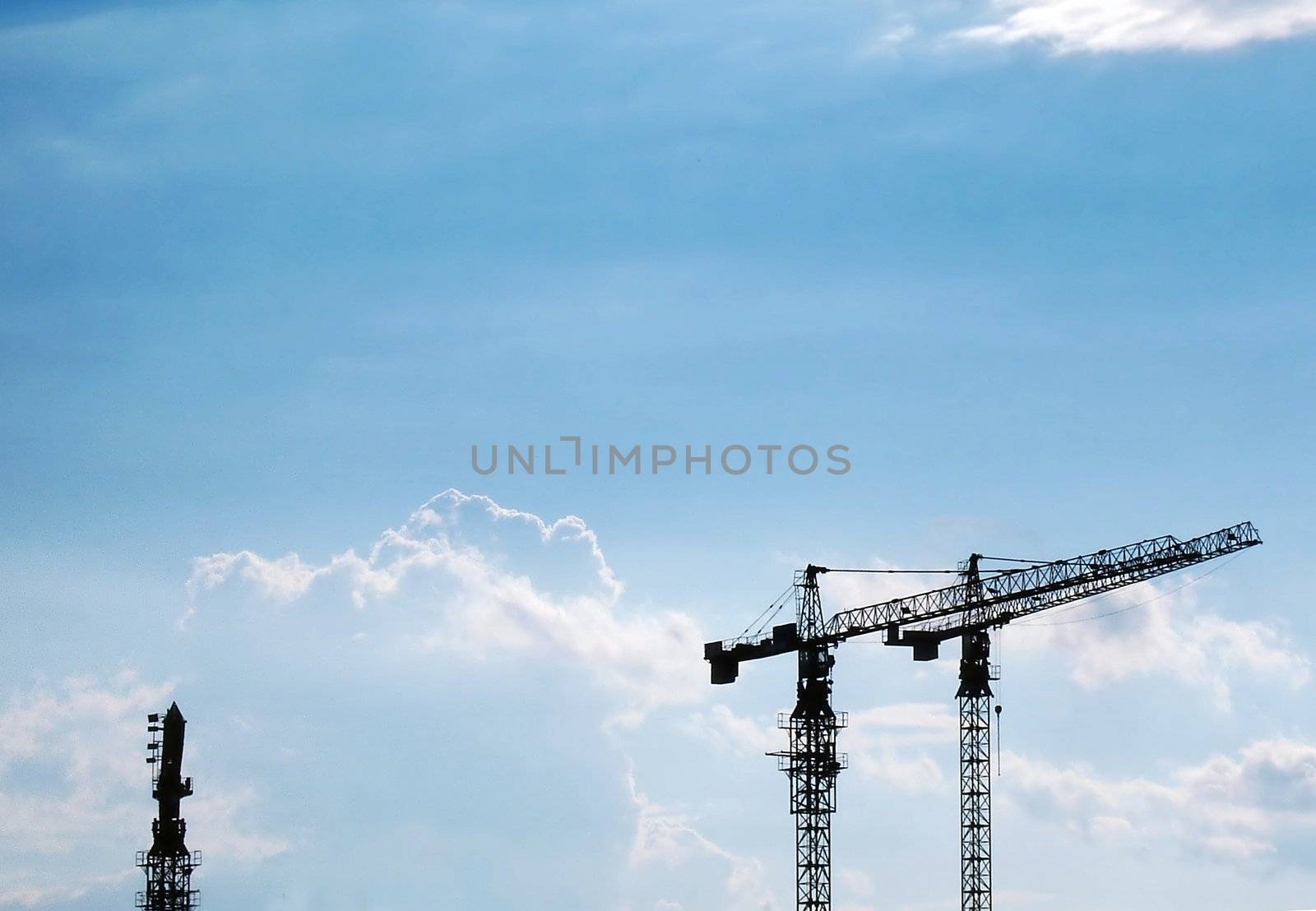 Cranes and the cloudy sky