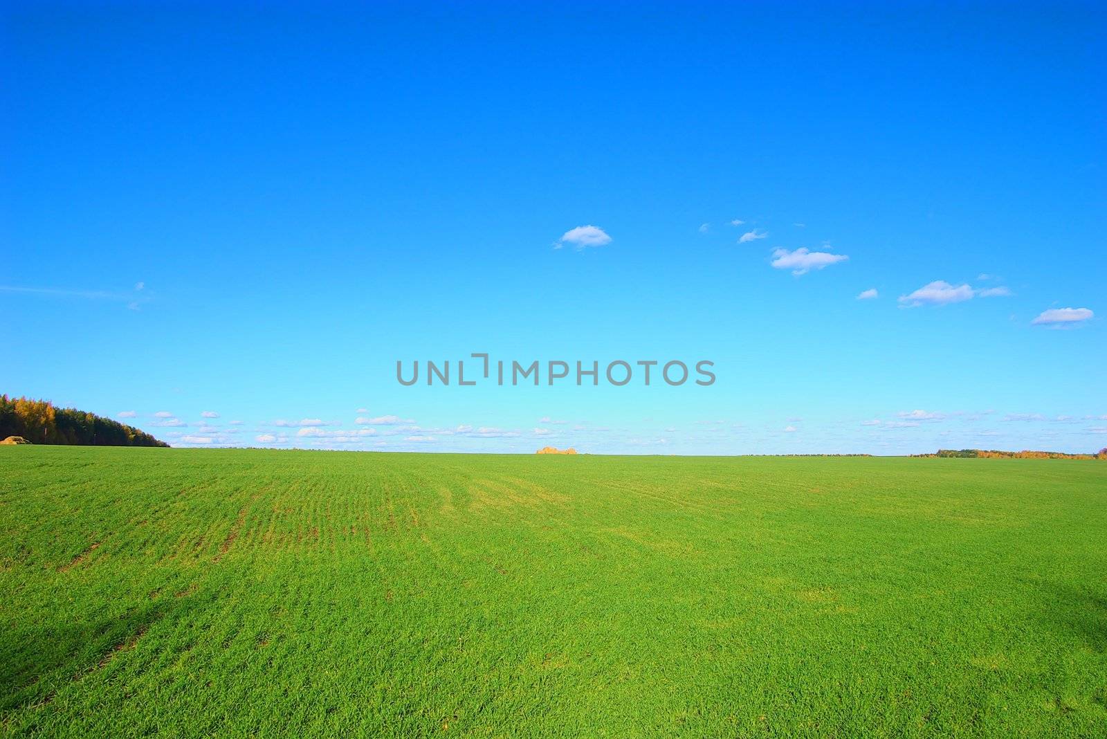 photo of the green field with stack