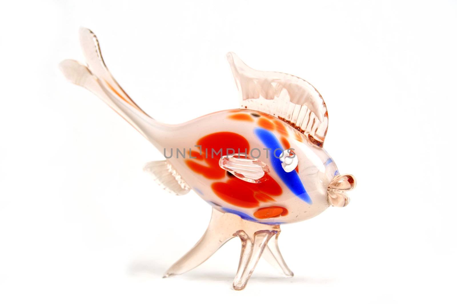 glass fish