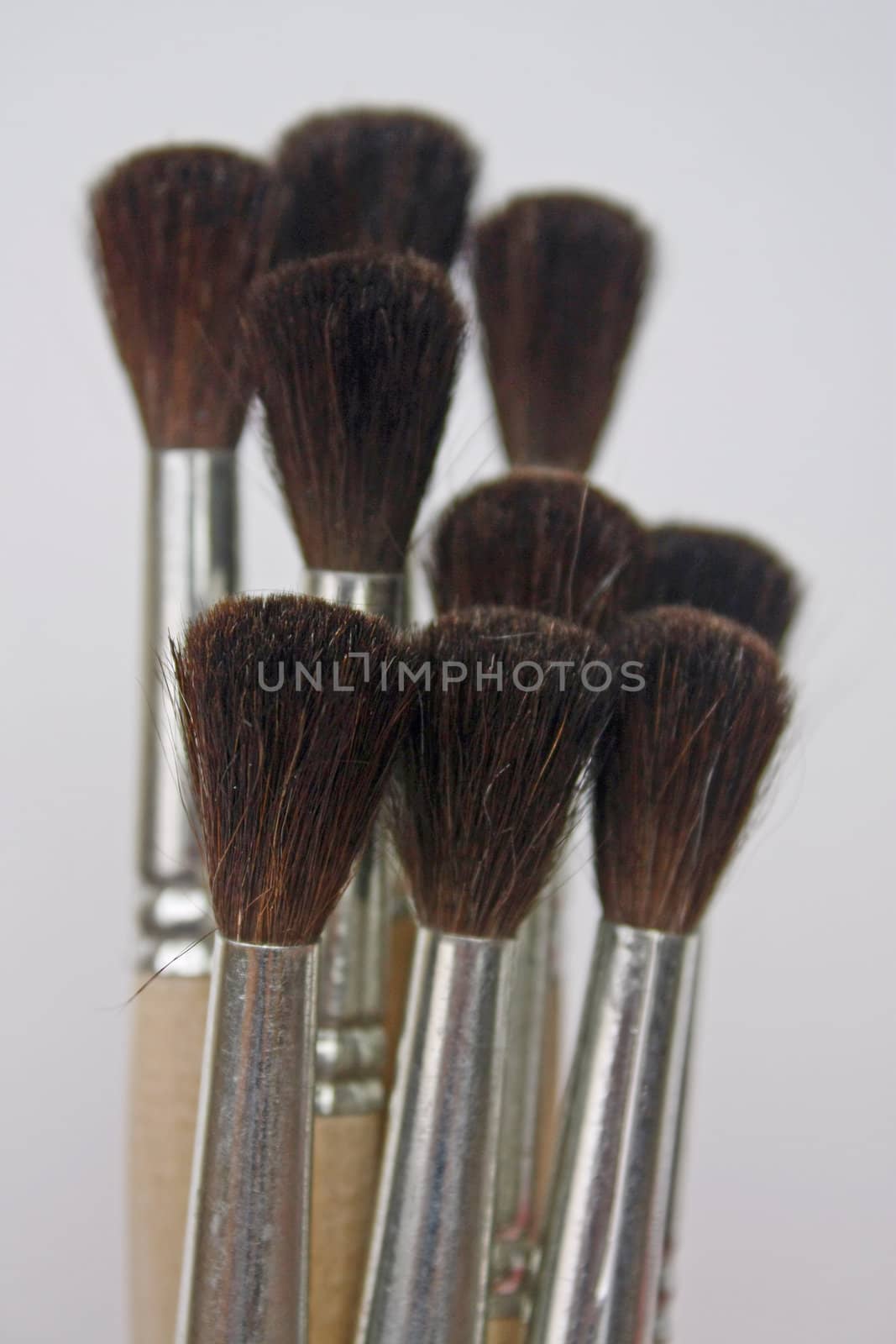 brushes for drawing by zhannaprokopeva