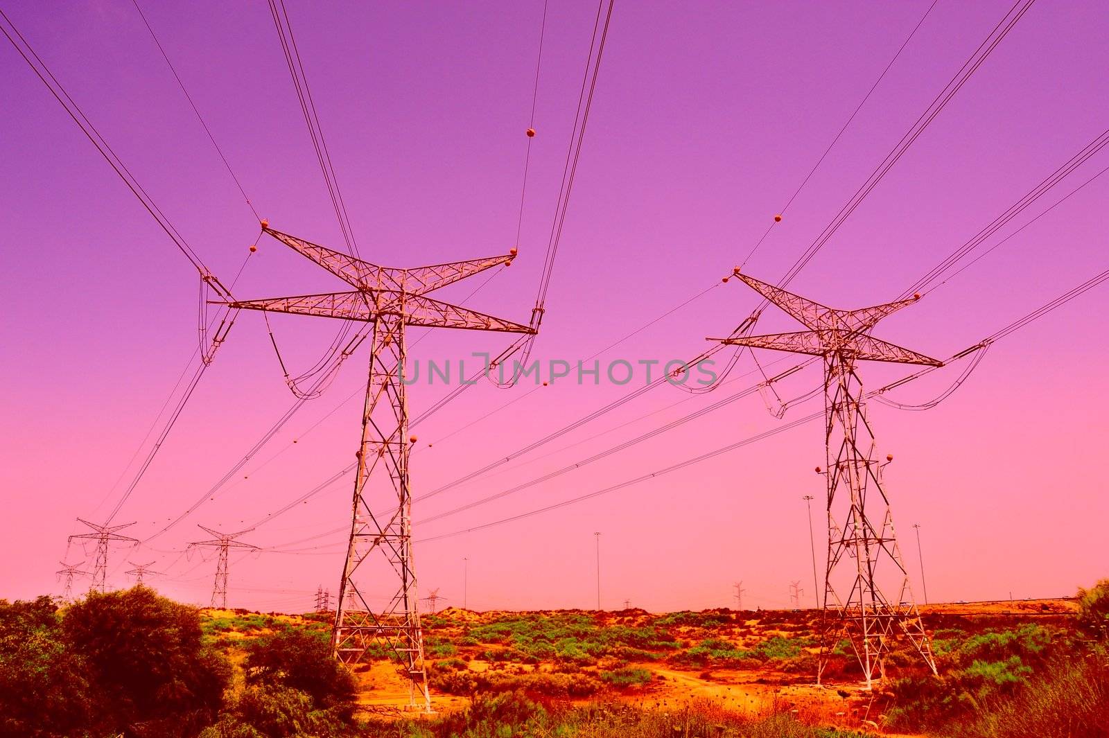Row Of High Voltage Electricity Pole In Sunset.