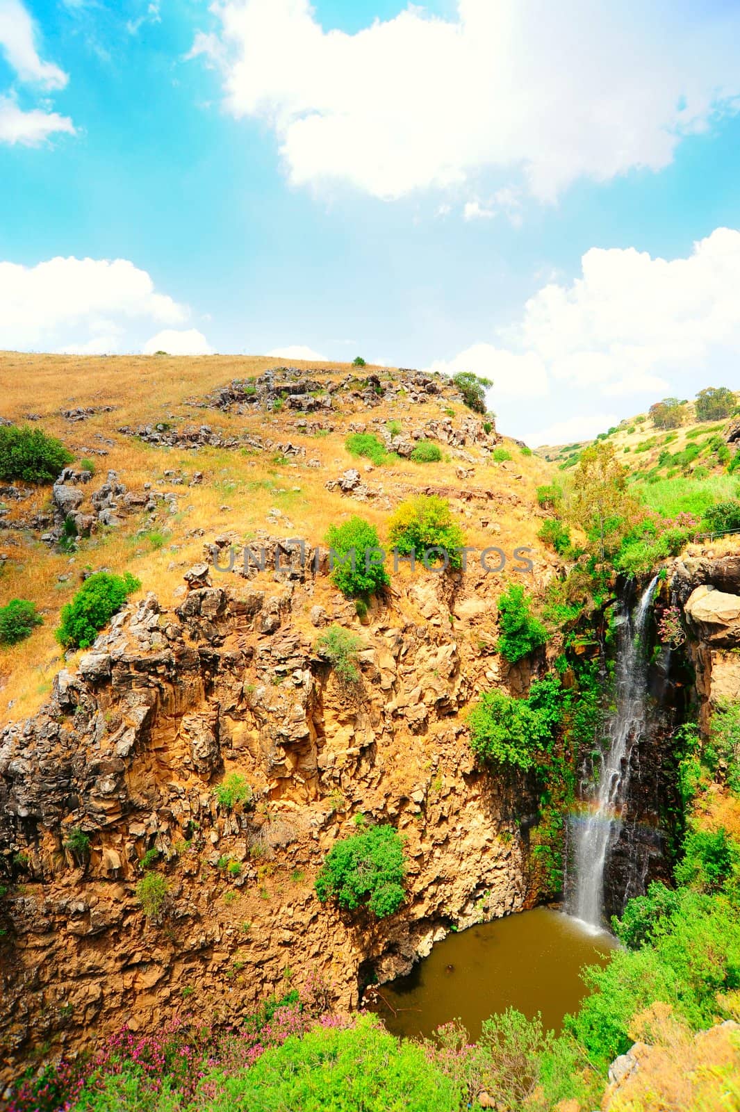 Wild Landscape With Gilboa Waterfall, Golan Heights.