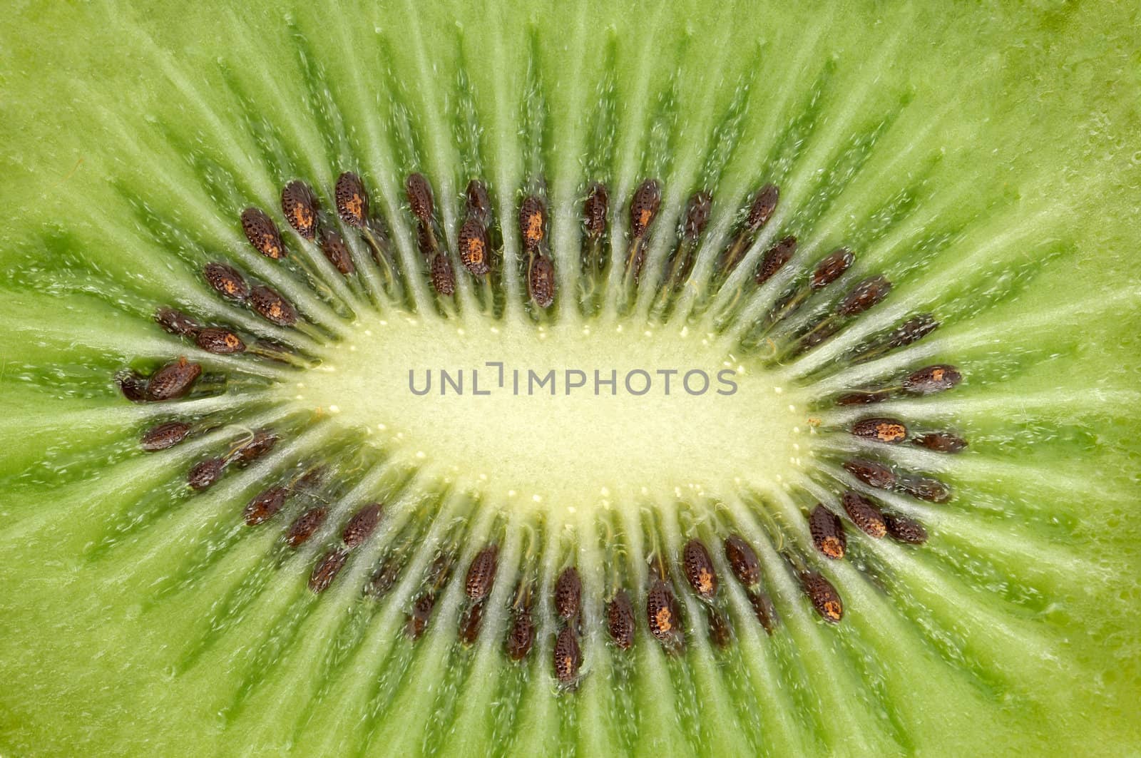 Macro of a kiwi slice -  focus on seeds