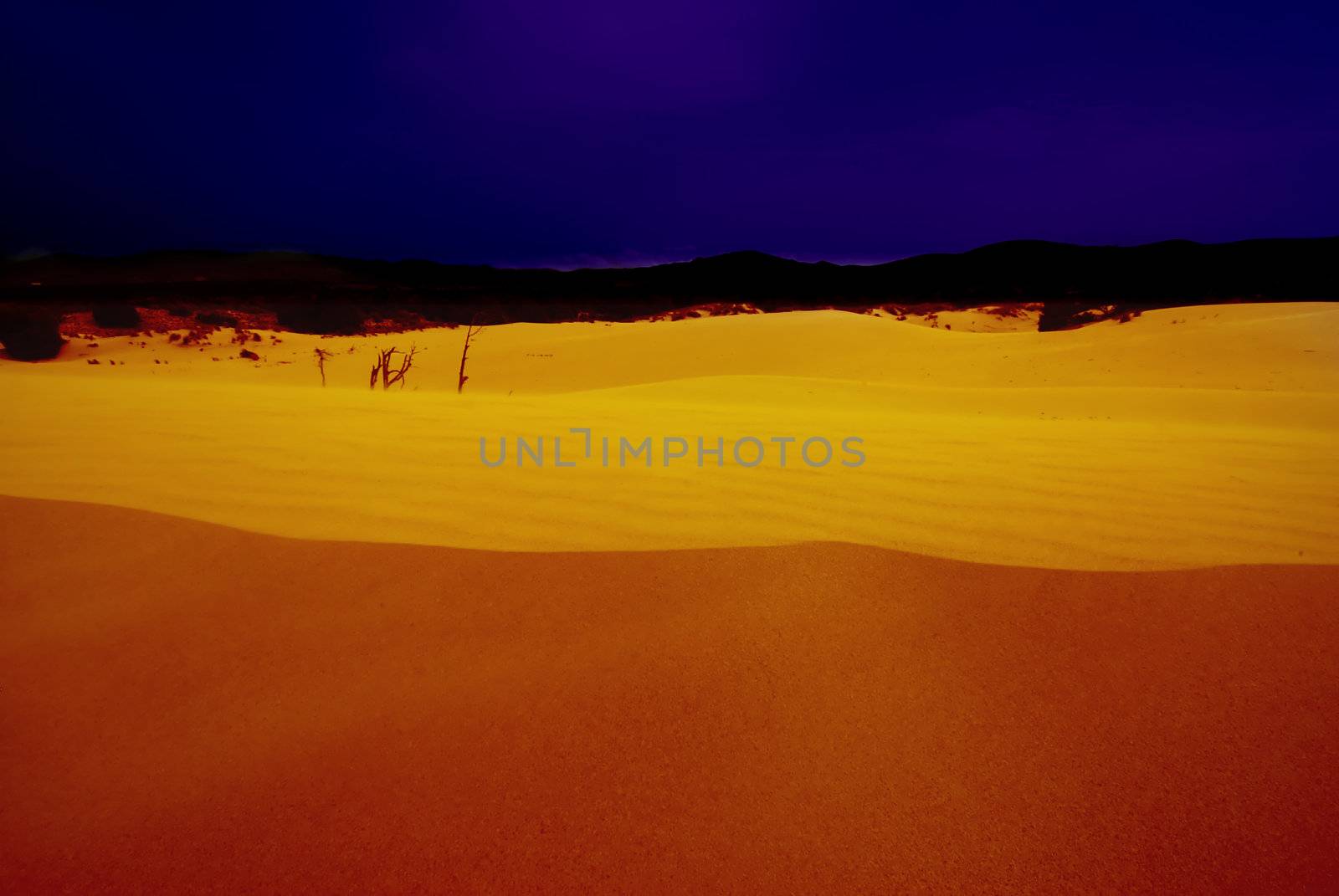 Desert after the sunset with a deep blue sky