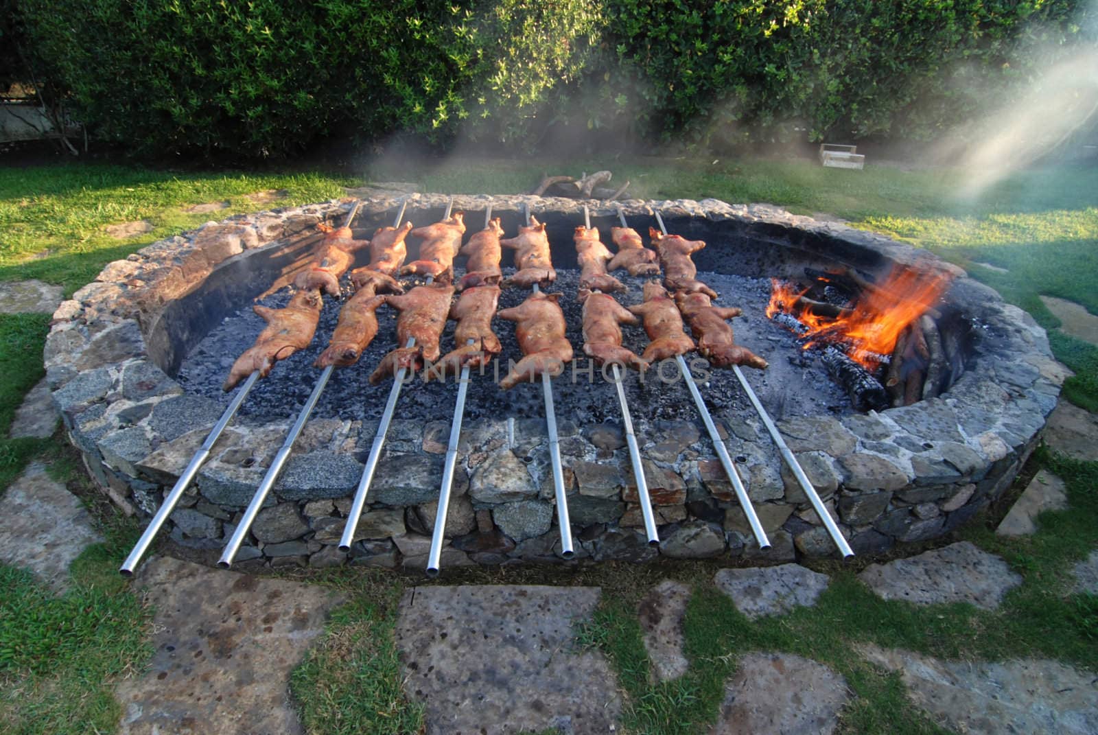 Barbecue with smoke of young suckling pigs