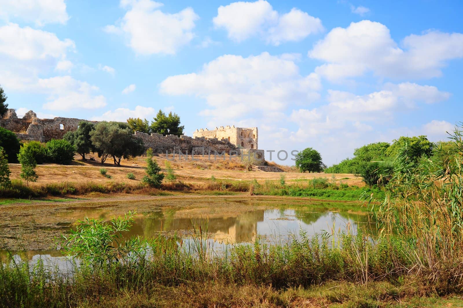 View From Neglected Pond To Ruins Of The Crusader Fortress Antipatris