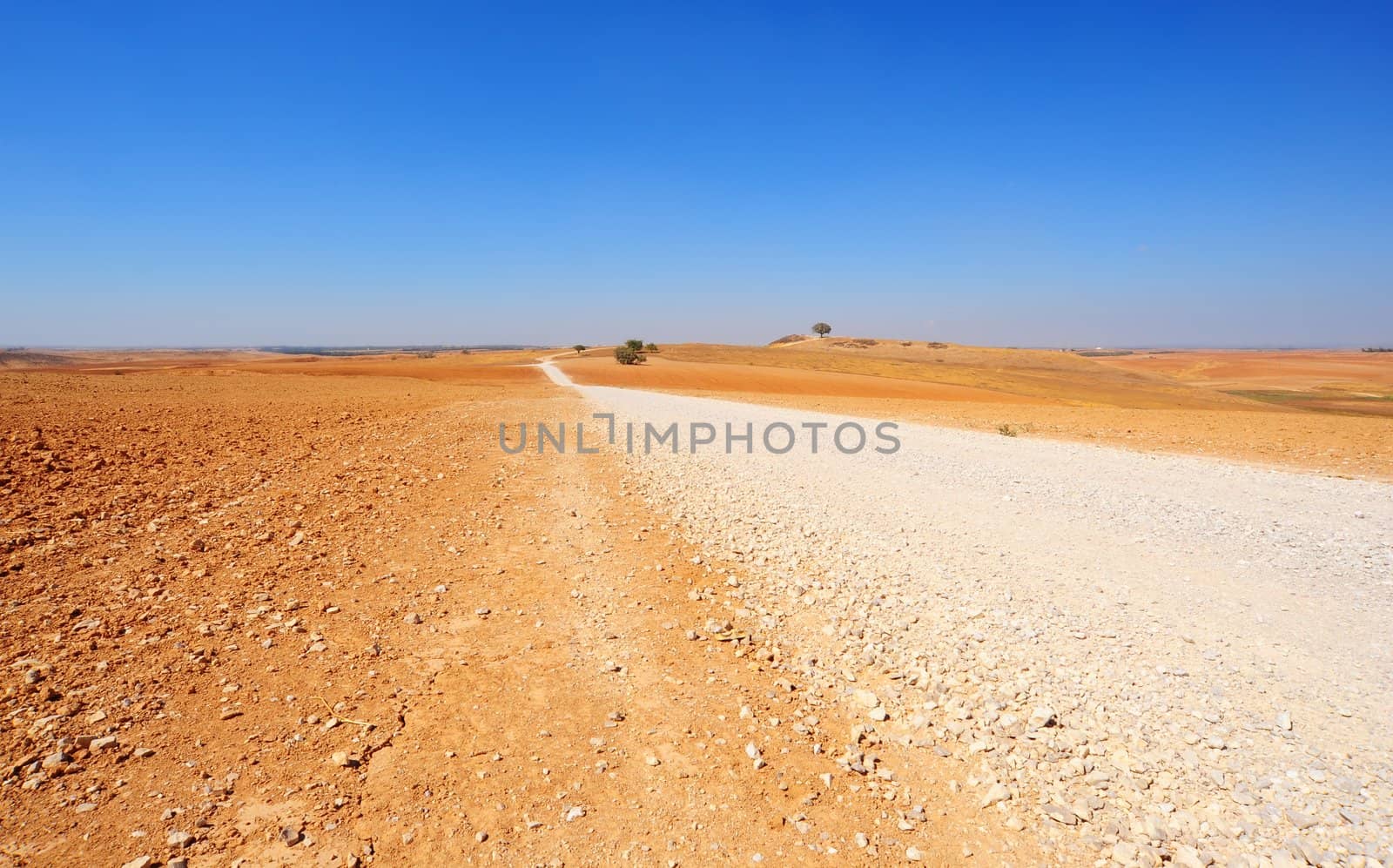 Lonely Road In The Negev Desert, Israel