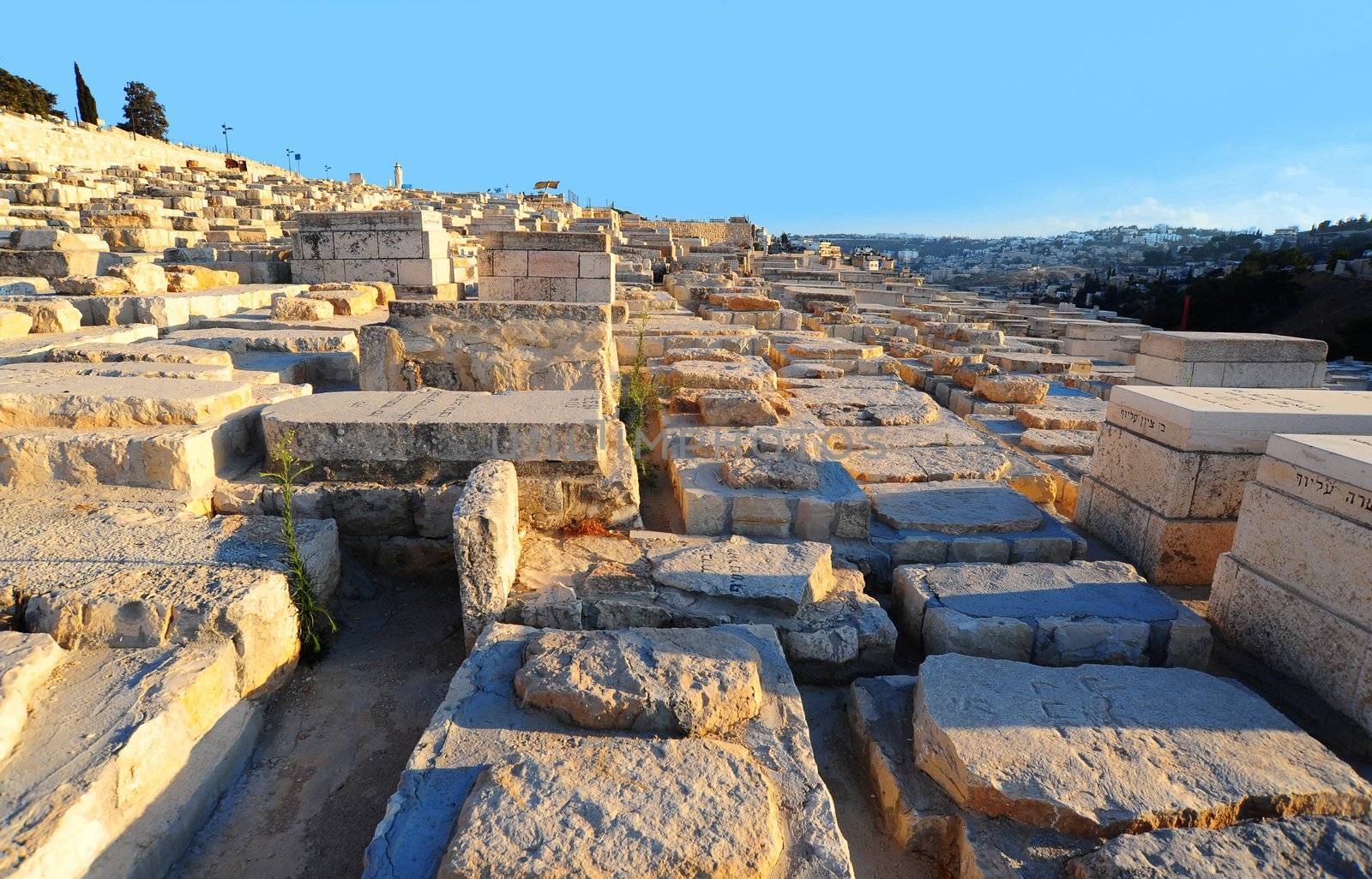 Ancient Jewish Cemetery On The Olive Mountain In Jerusalem