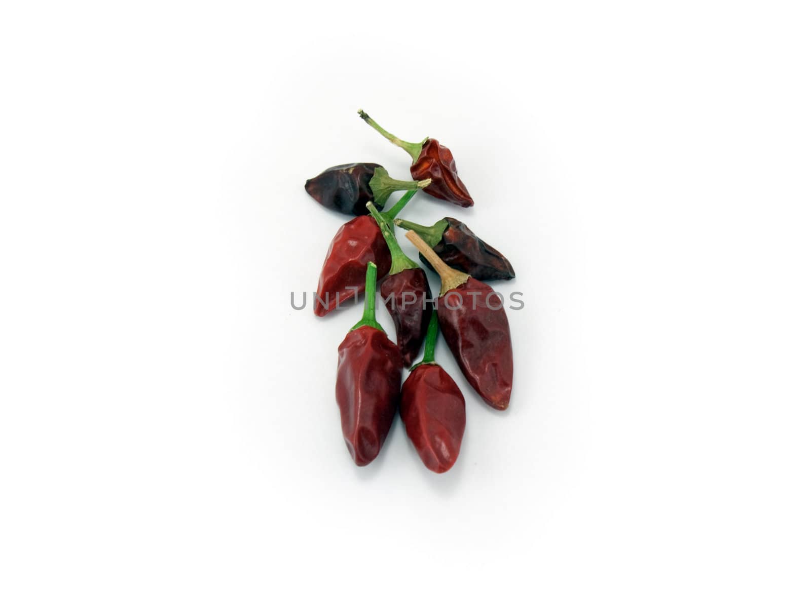 Chile pepper. In the pods on a white background