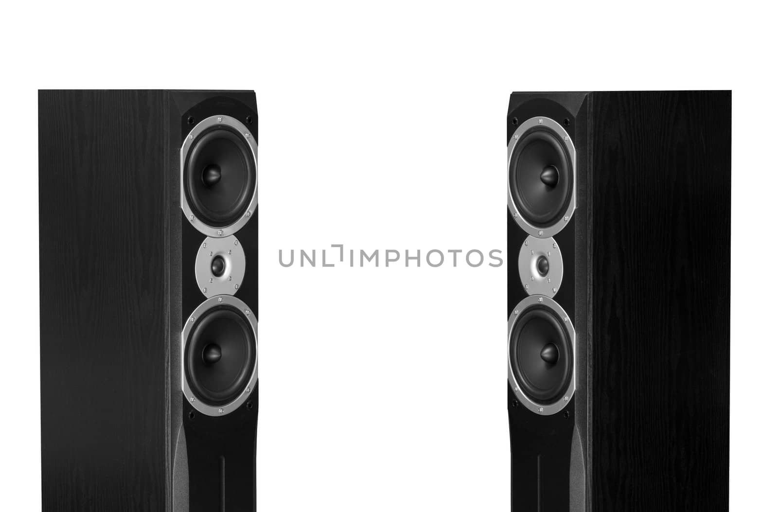 Audiophile speakers. two pieces on a white background