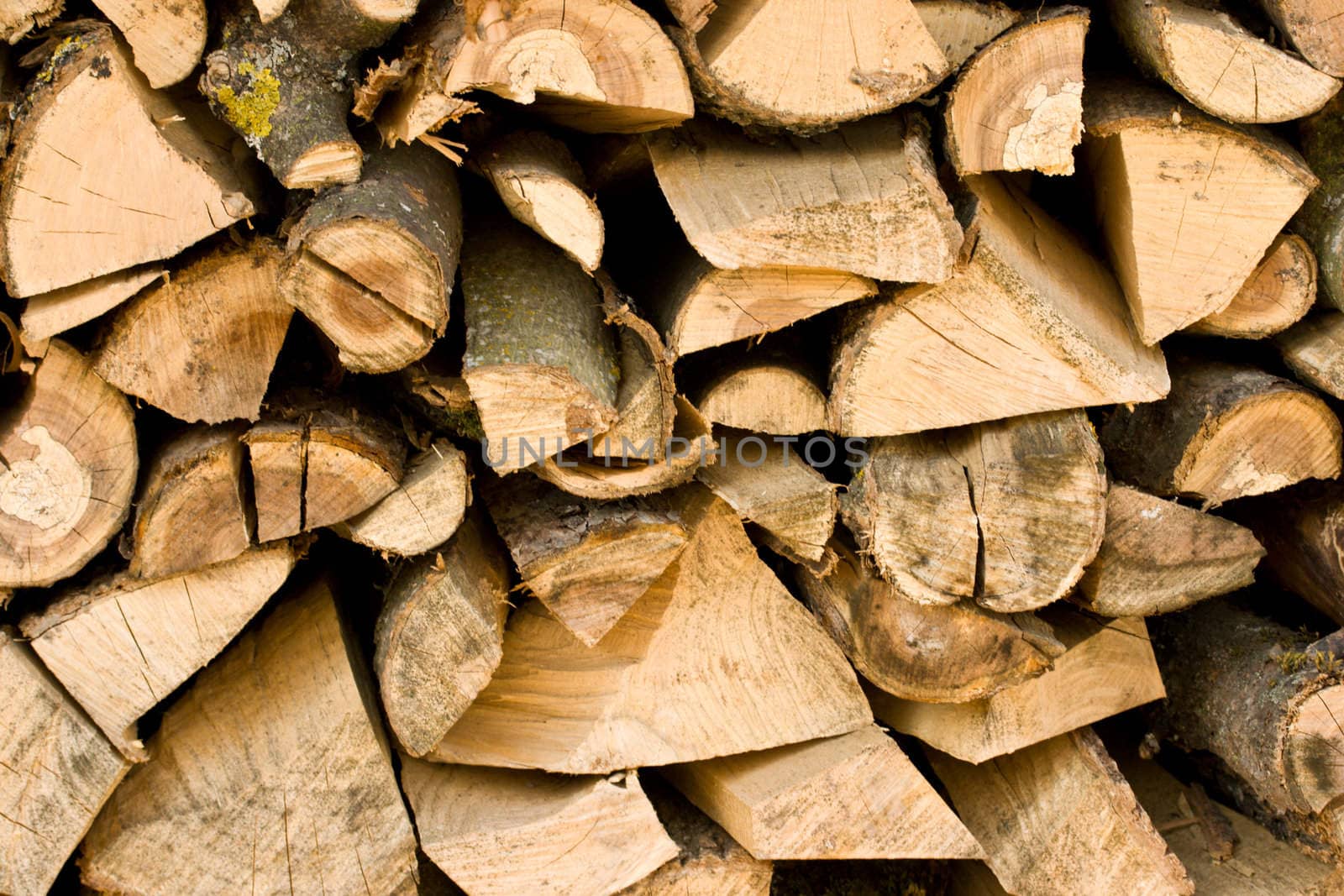 Firewood pile by dimol