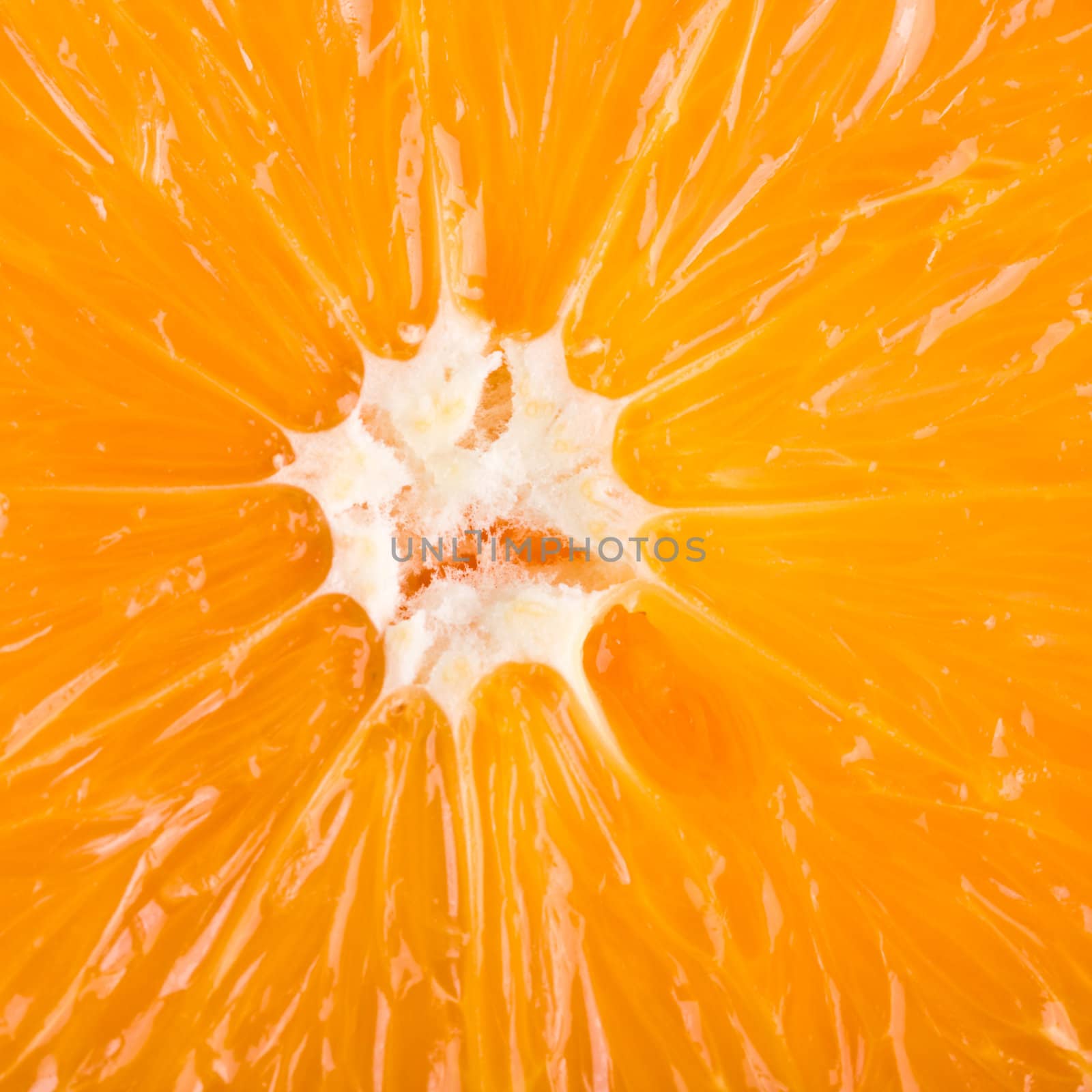 Orange close up by dimol