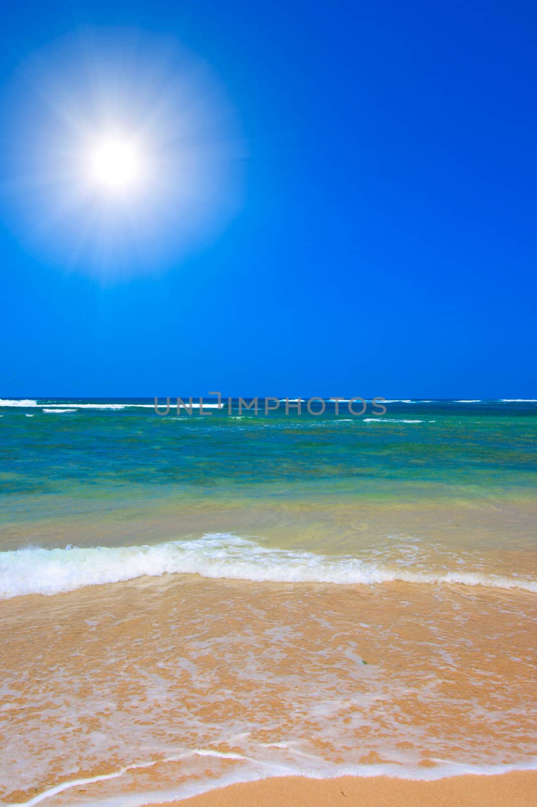 Beautiful ocean beach in summer