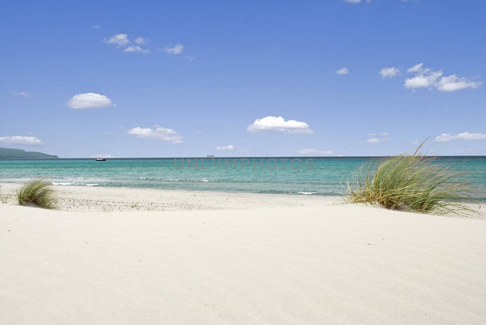 Beautiful beach with white sand and bush near the azure sea 