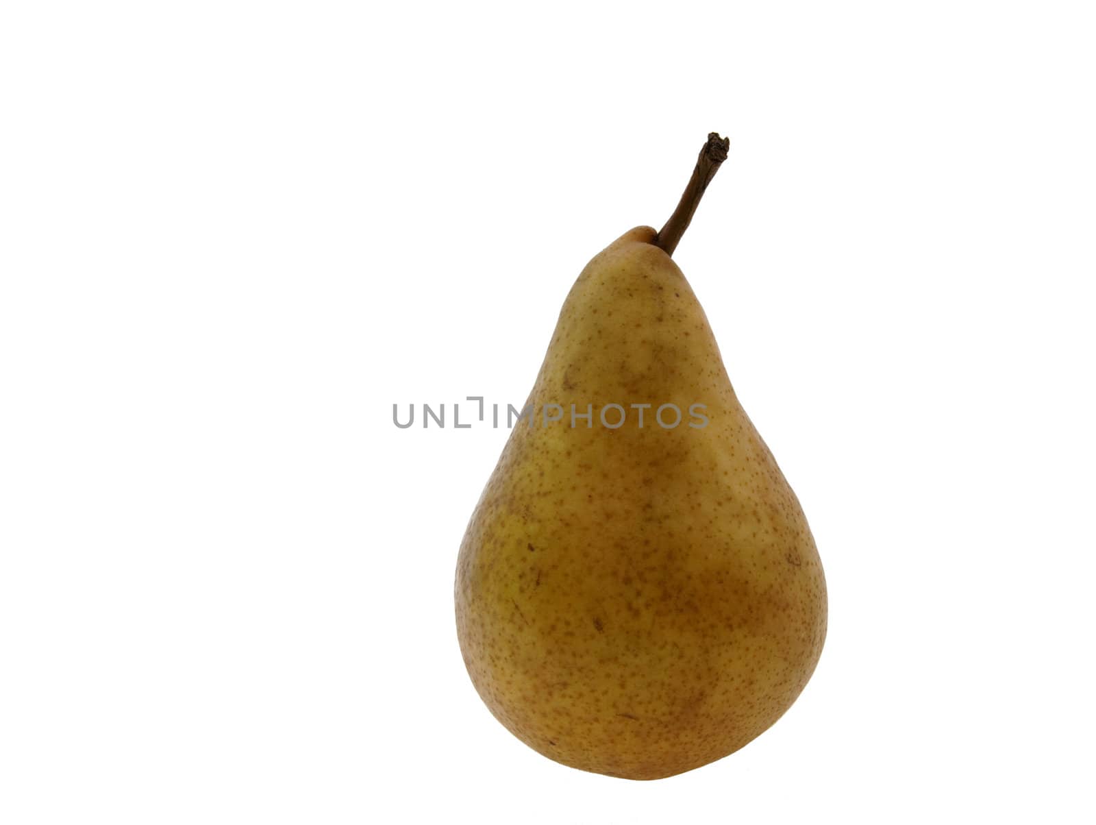 The picture of the nice  tasty pear