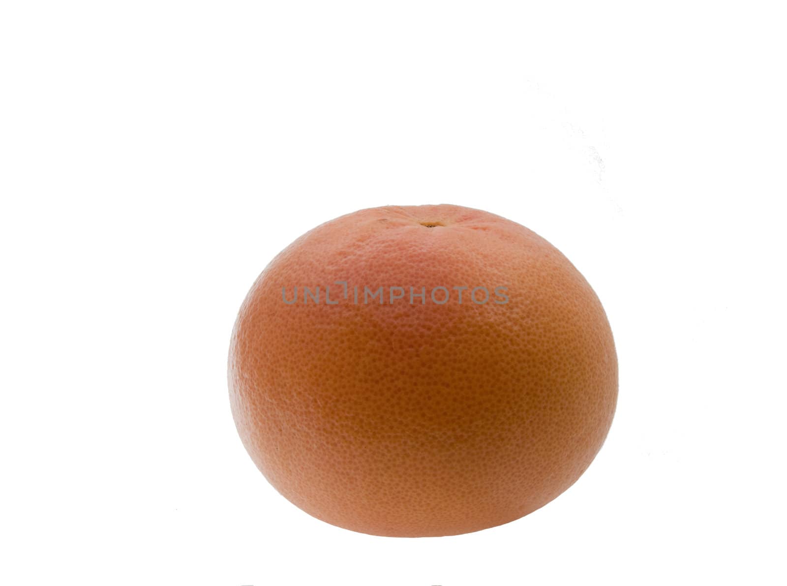 The picture of the  cute tasty grapefruit