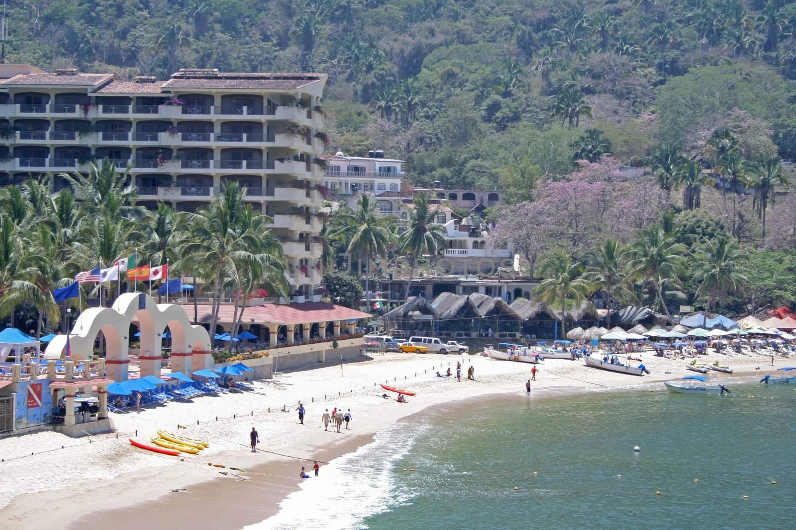 Palm tree and beach with peopple and umbrellas