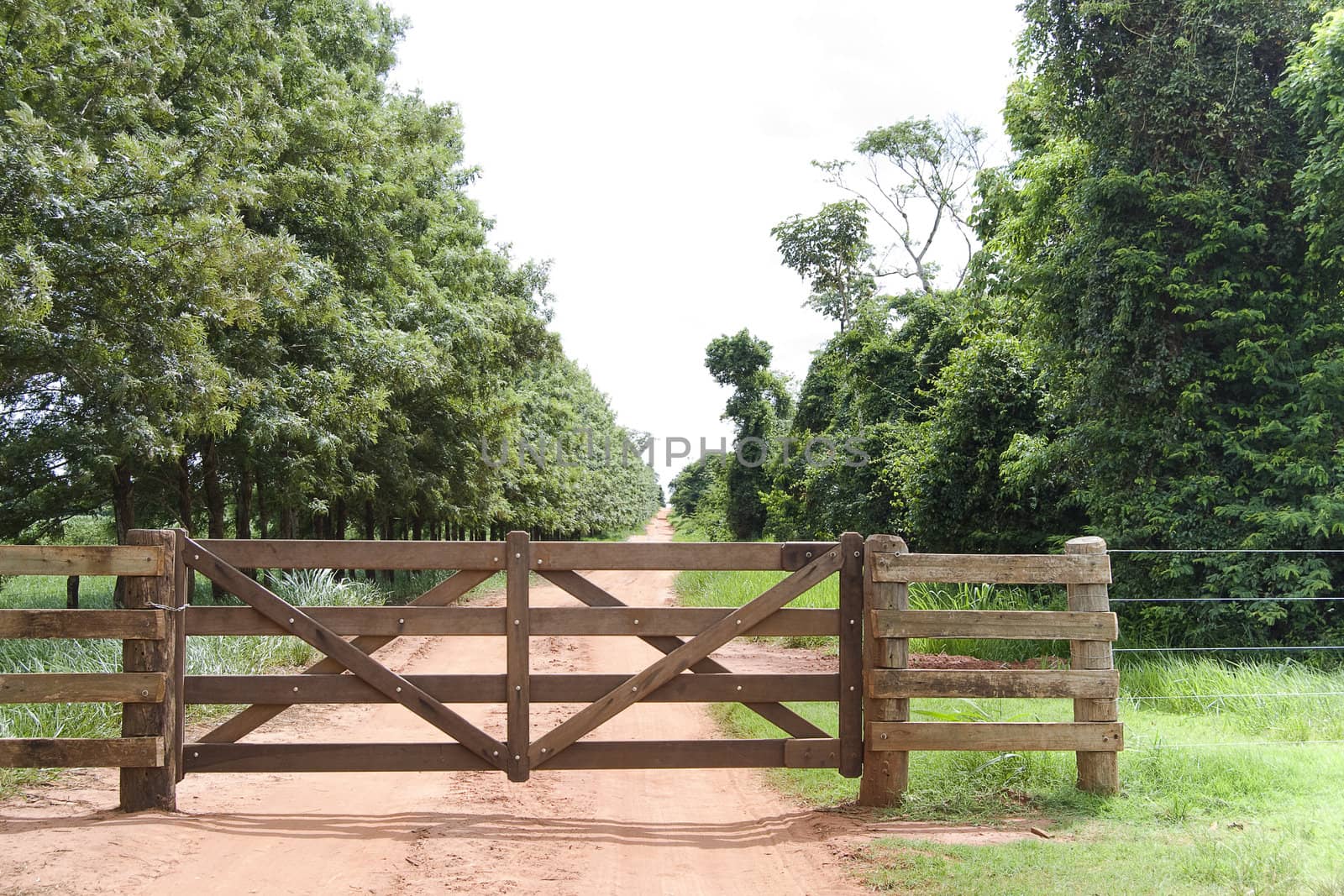 Rural gate of wood on brazilian farm, northwest of Parana State.