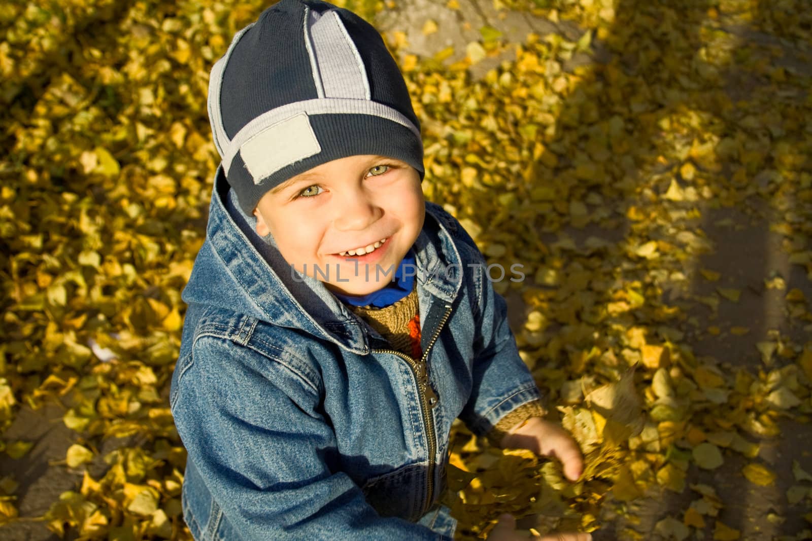 Portrait of the boy among autumn leaves