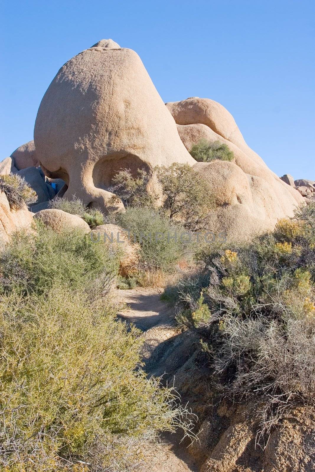 Skull Rock - formation located in Joshua Tree National Park, United States, along the main east-west park road.