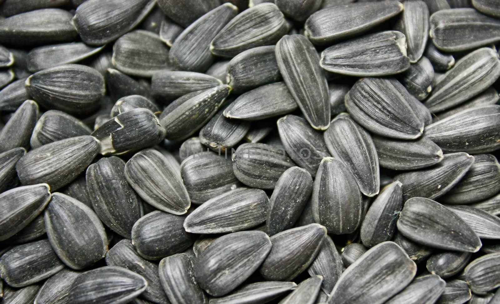 It is a lot of sunflower seeds.They are scattered on a table. They very tasty. Many people love sunflower seeds.