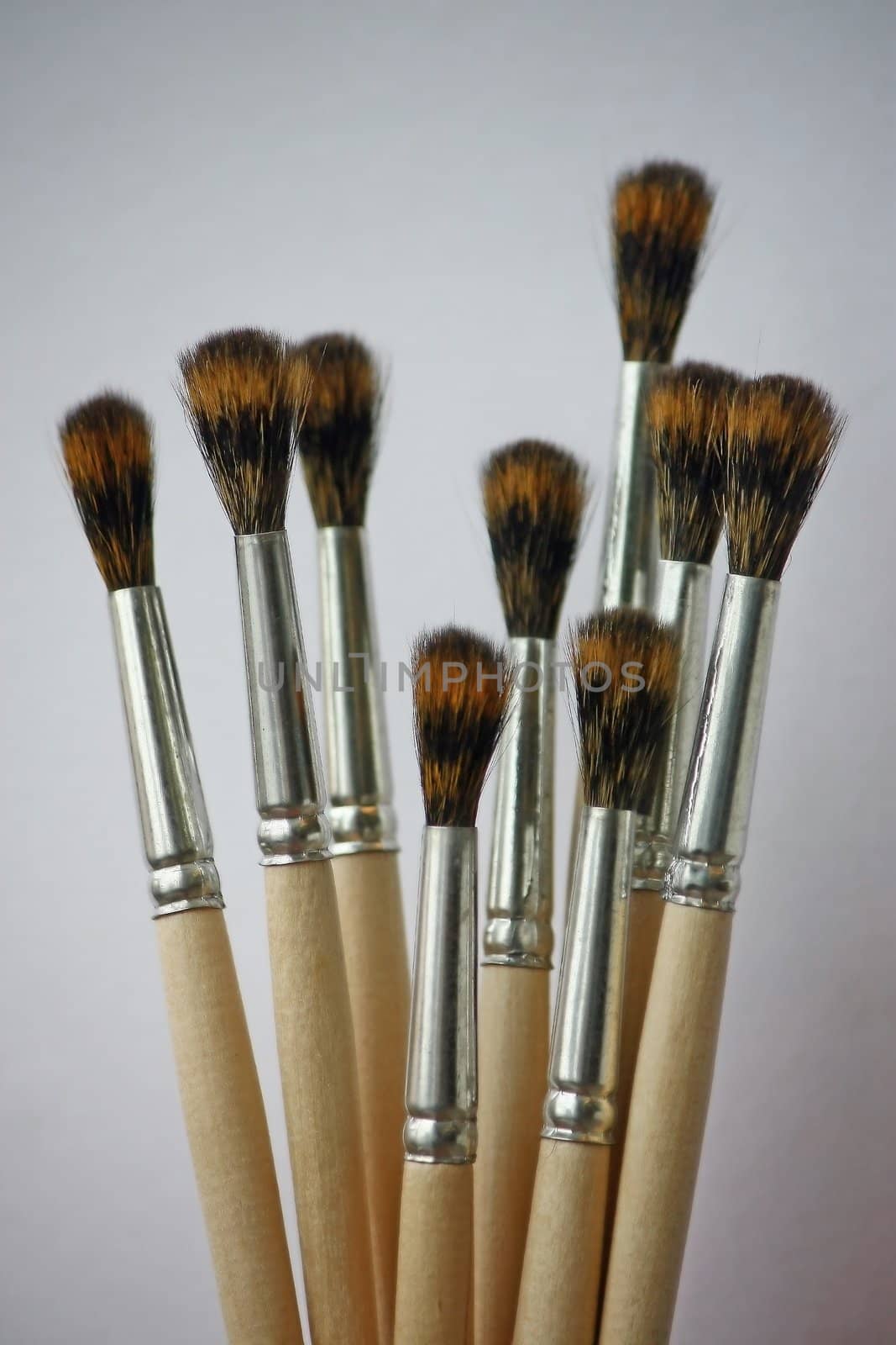 Brushes For Drawing by zhannaprokopeva