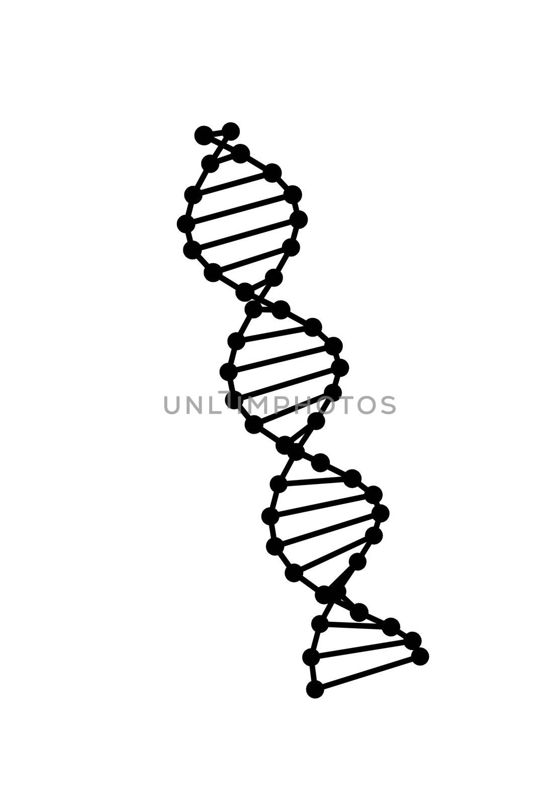 Dna model