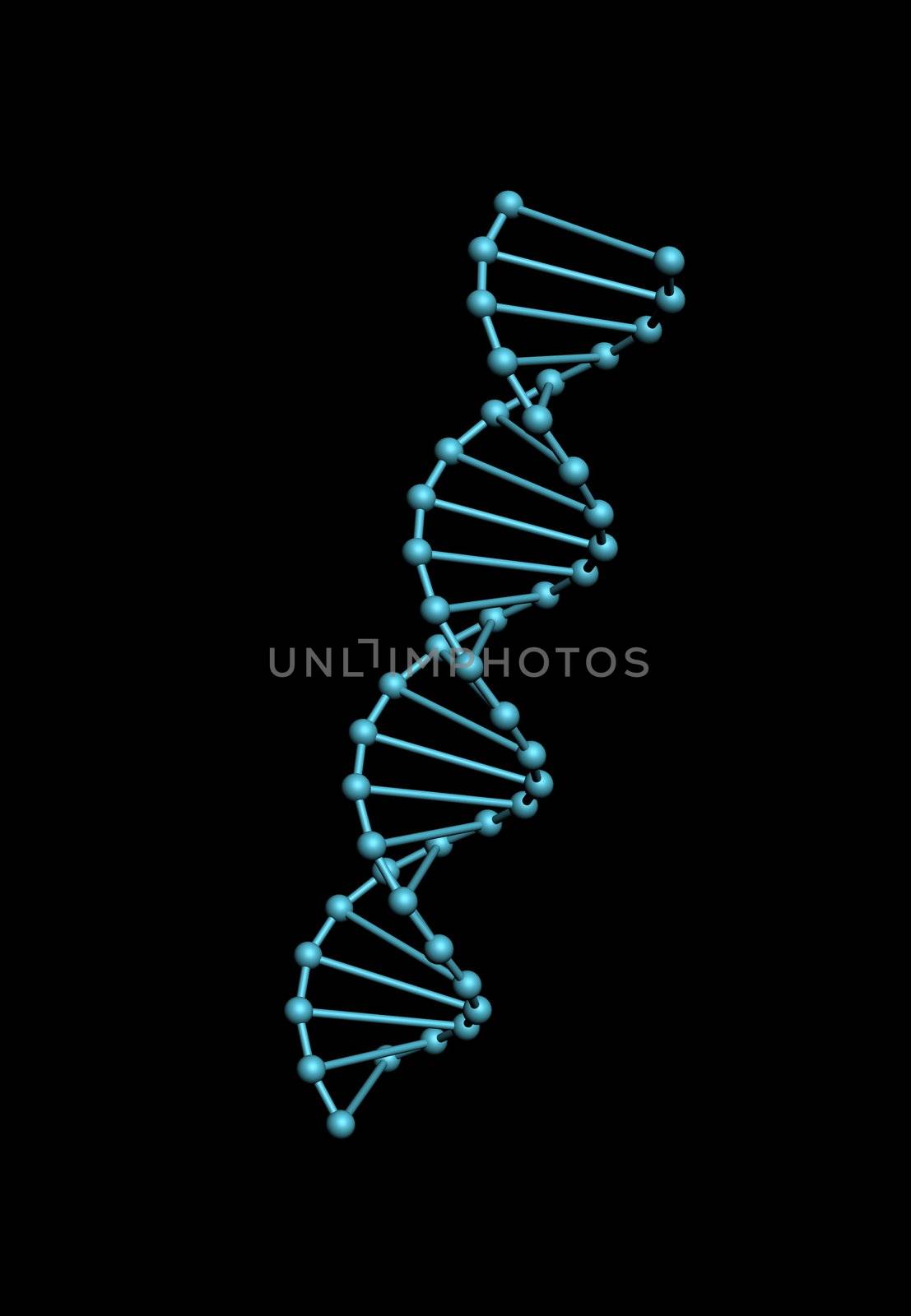 Dna model