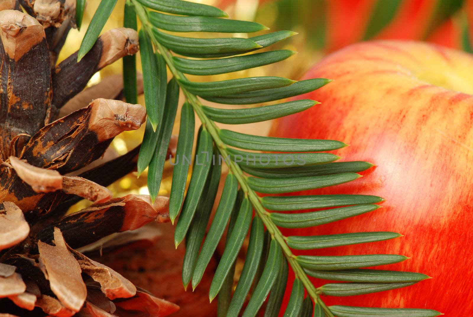 Christmas background with cone, apple and spruce branch