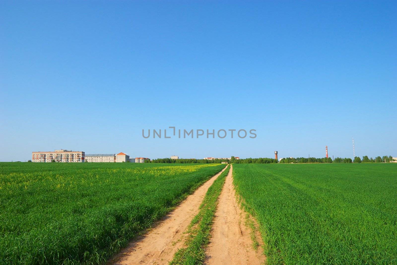 Road through green field by alshadsky