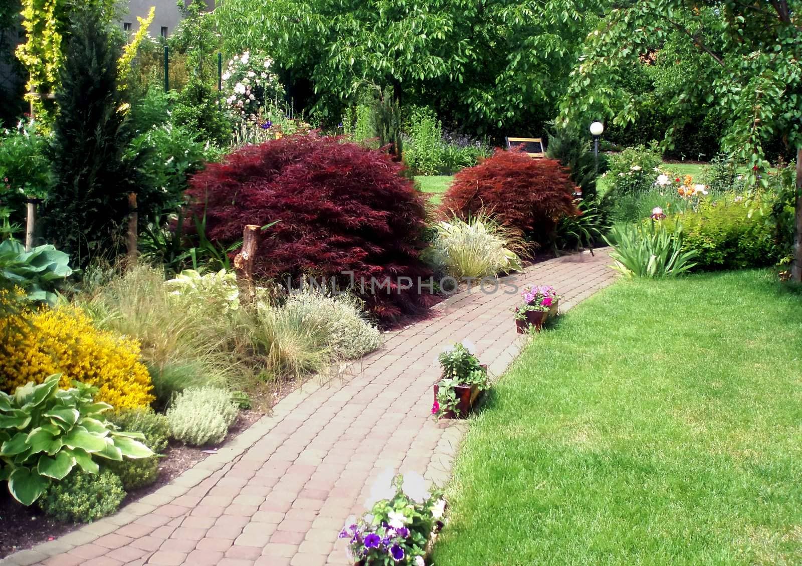 Beutiful summer garden with a lot of plant species