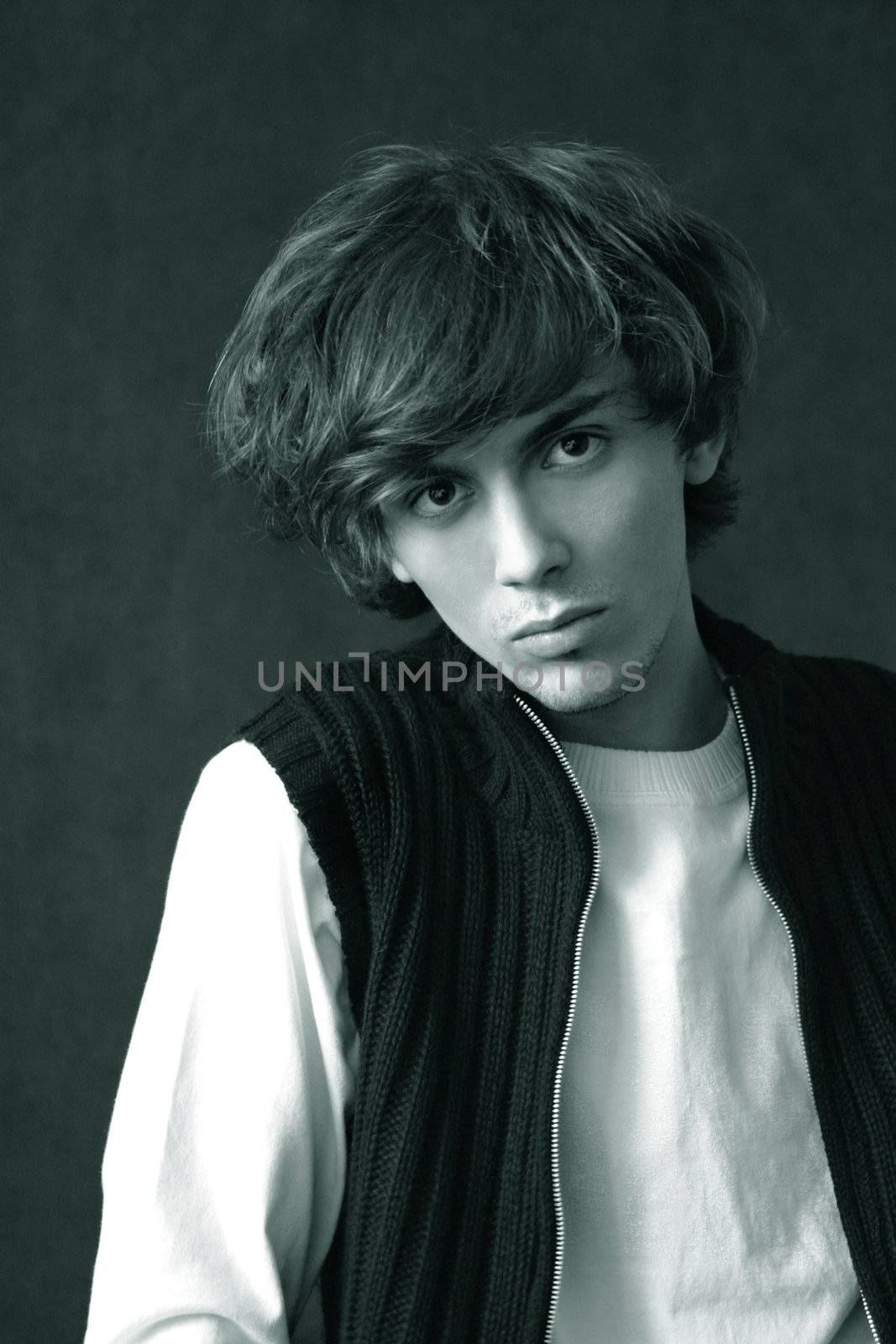 Portrait of the young man with a magnificent hairdress