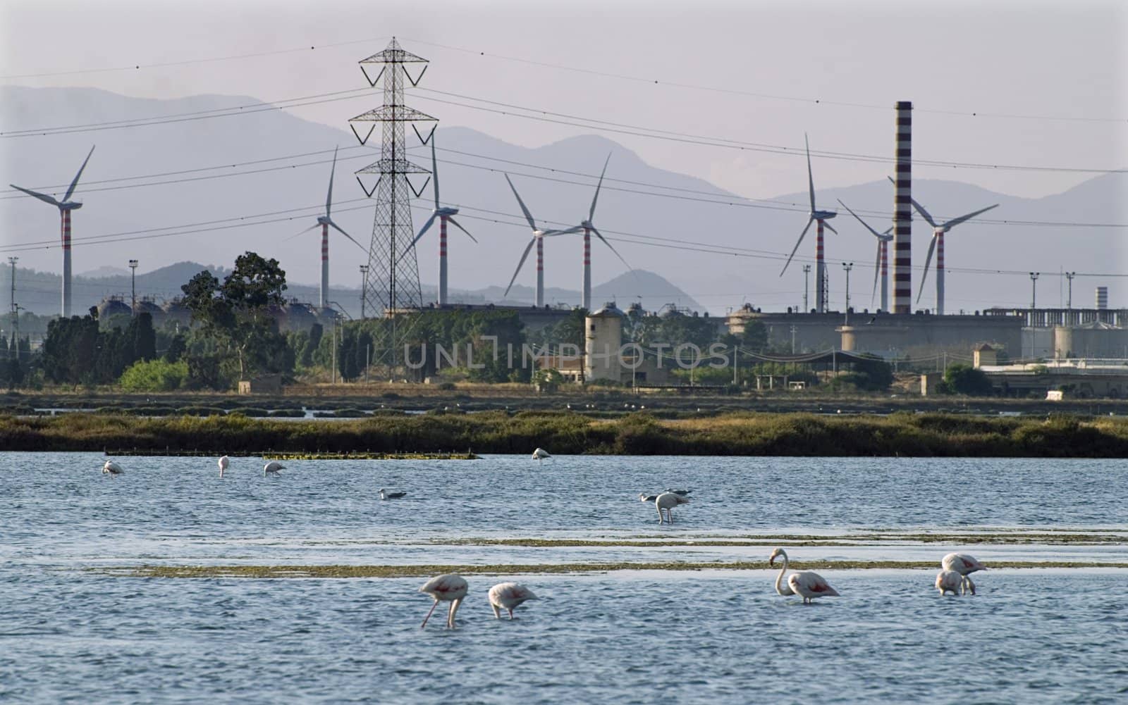 Industry vs environment - heavy industry factory is located just near the lake with flamingos on Sardinia