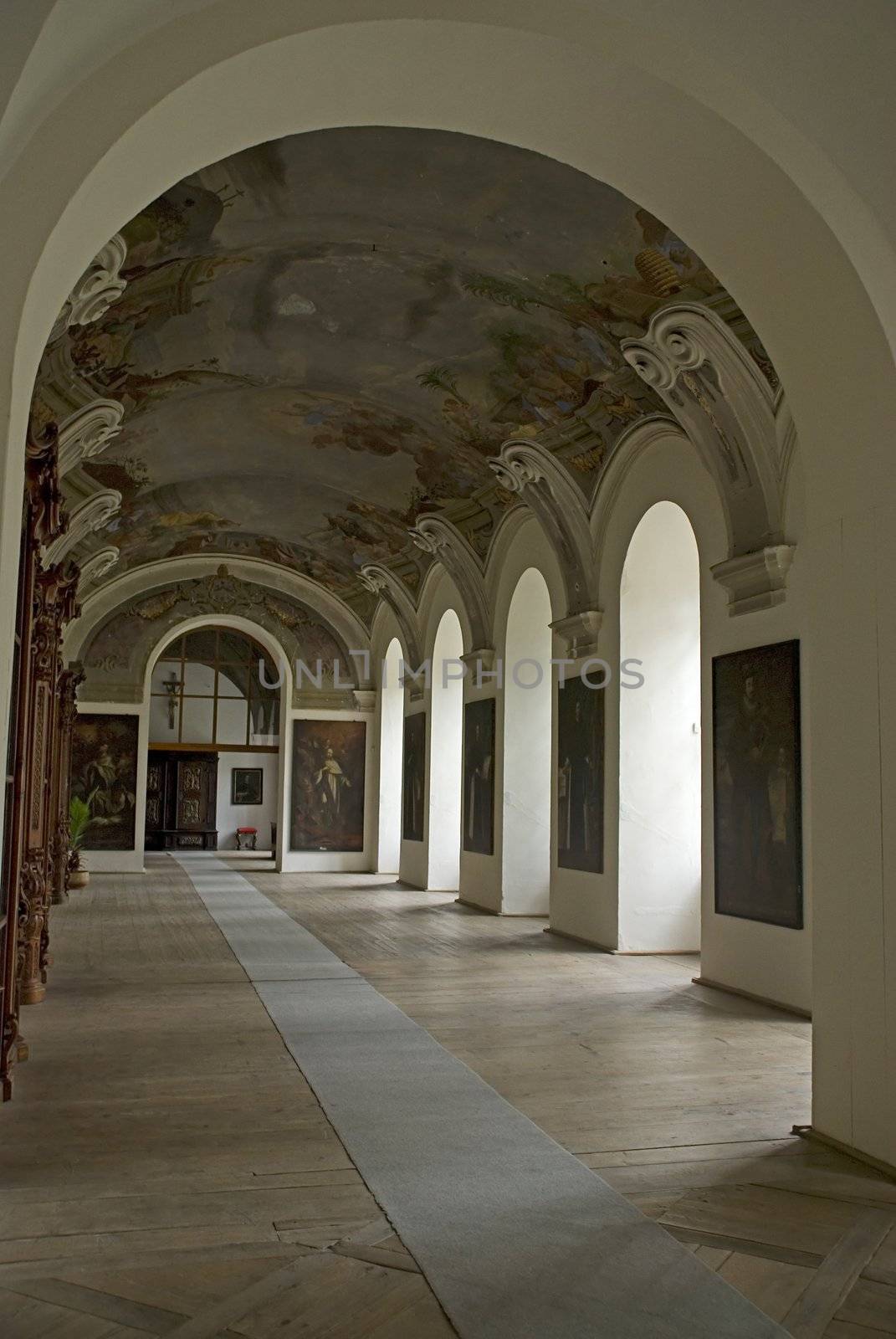 Library hall in the Plasy monastery in the Czech Republic