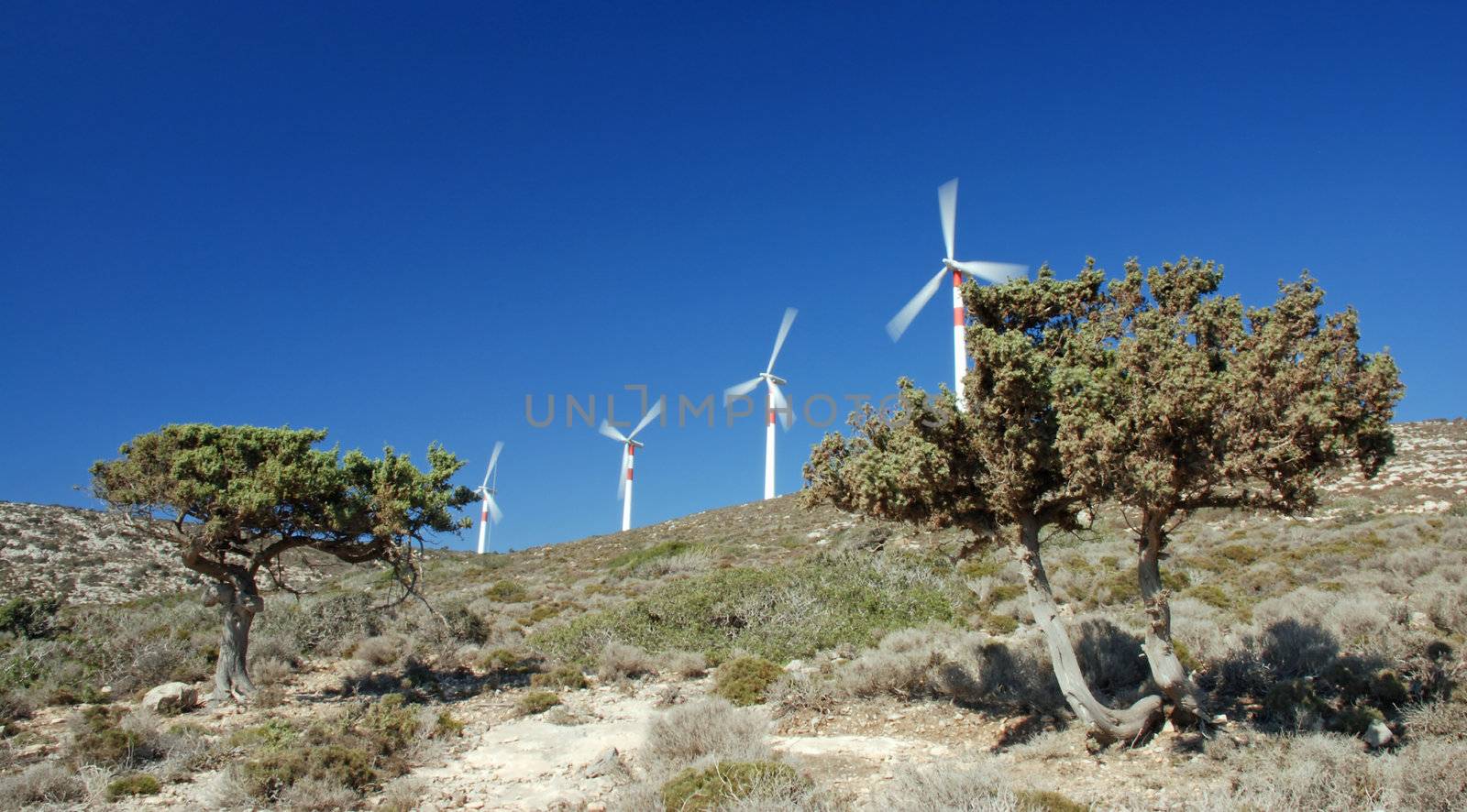 Wind turbines between two pines against the blue sky with motion blur