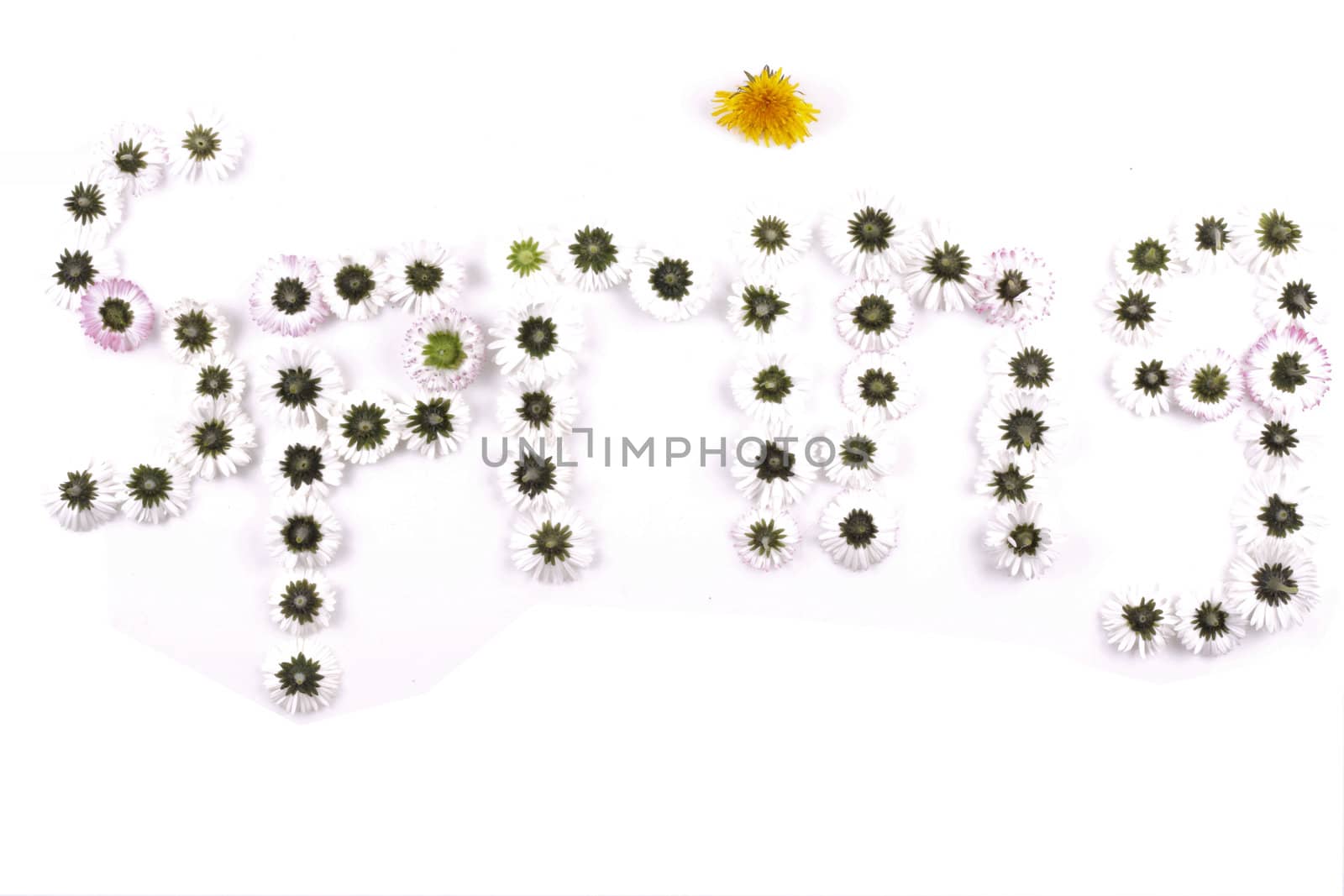 word spring made with flowers