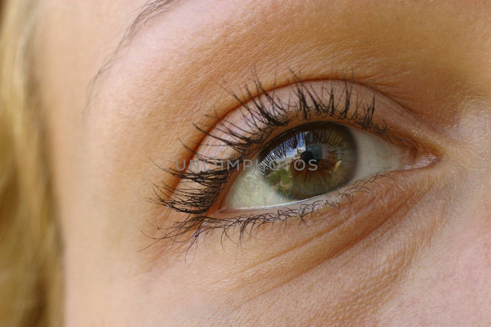 Female eye close-up. At use of a macro-ring