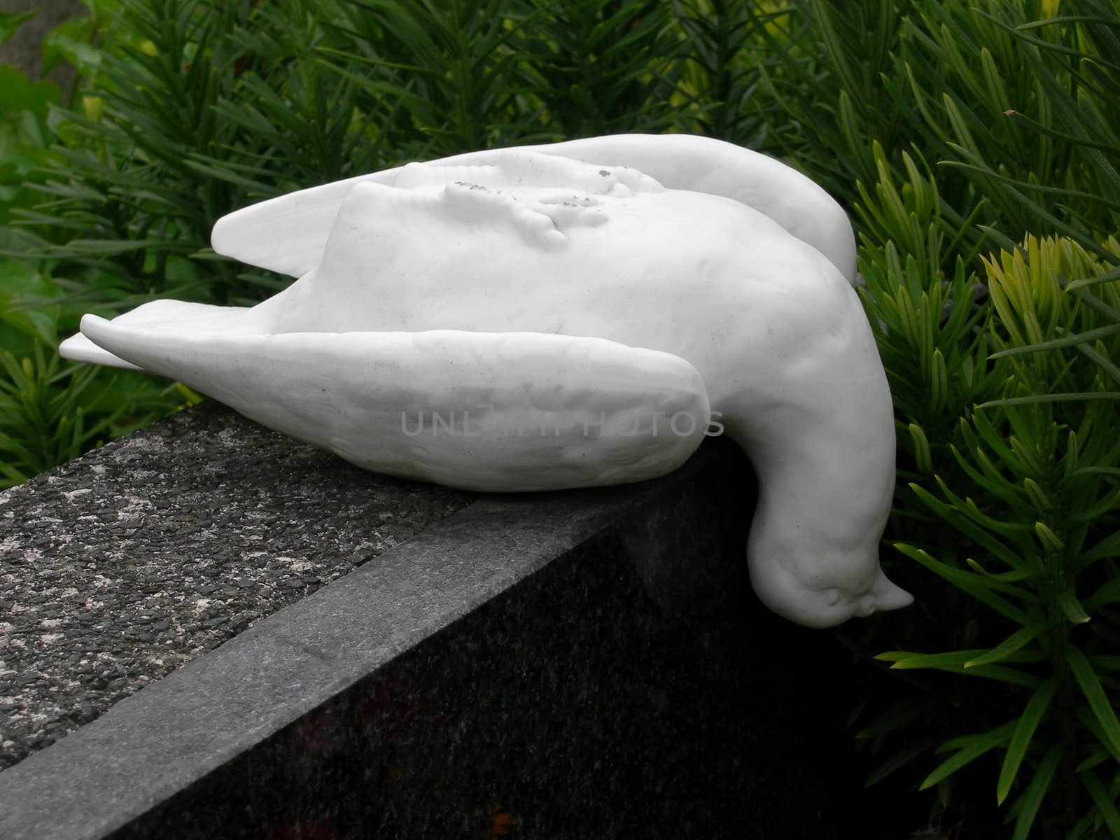 Small statue of a dead dove. Central cemetery, Vienna / Austria.
