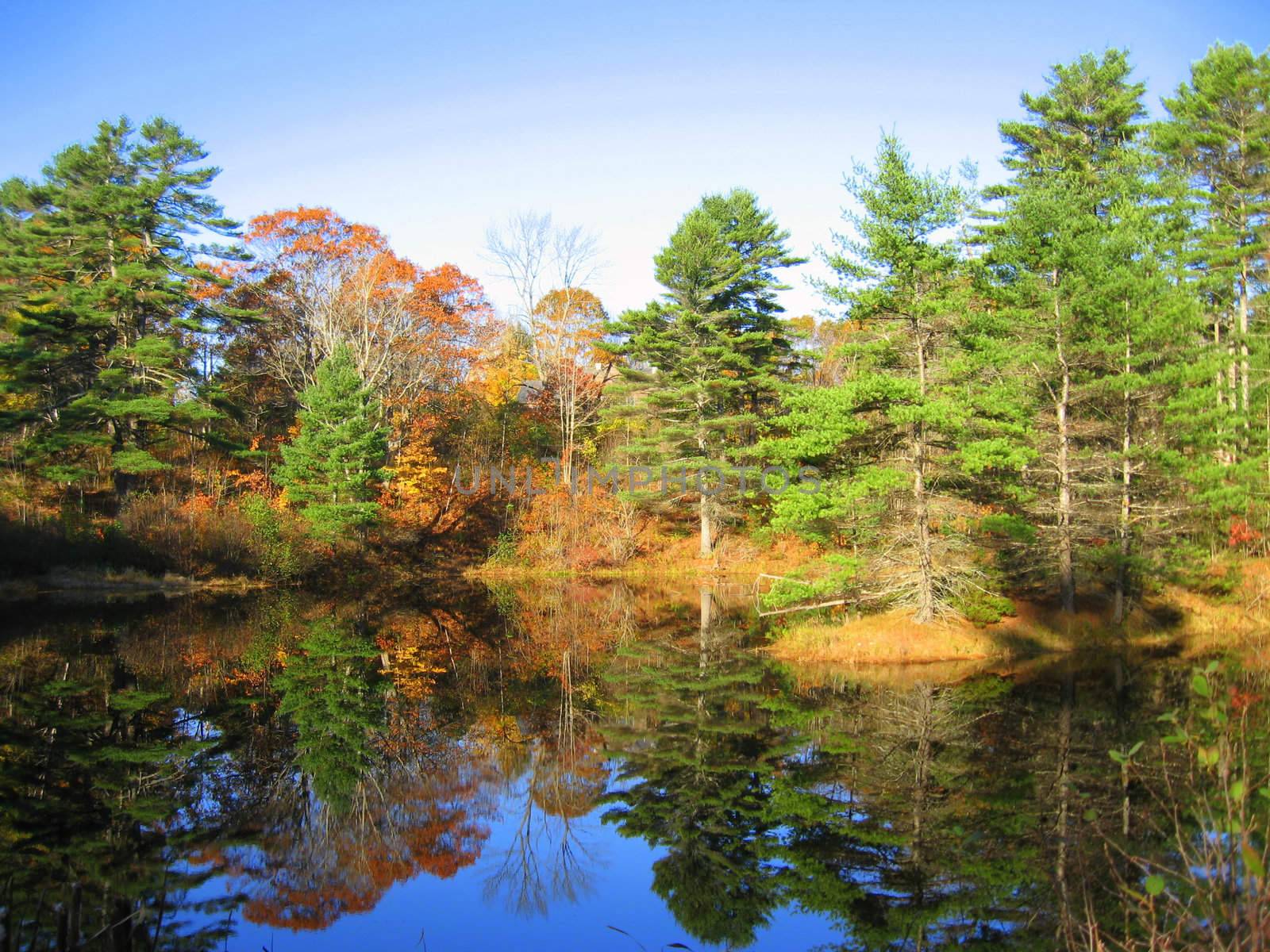 along a backroad in Maine, a quiet pond showing reflections of trees